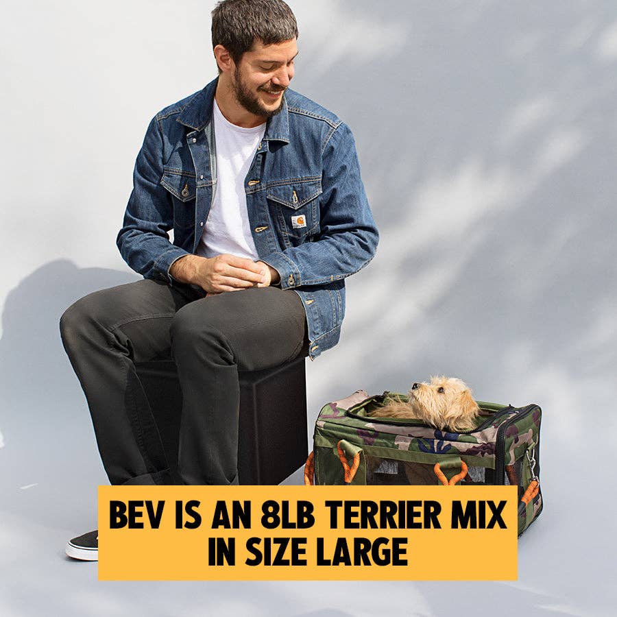 ROVERLUND OUT-OF-OFFICE PET CARRIER