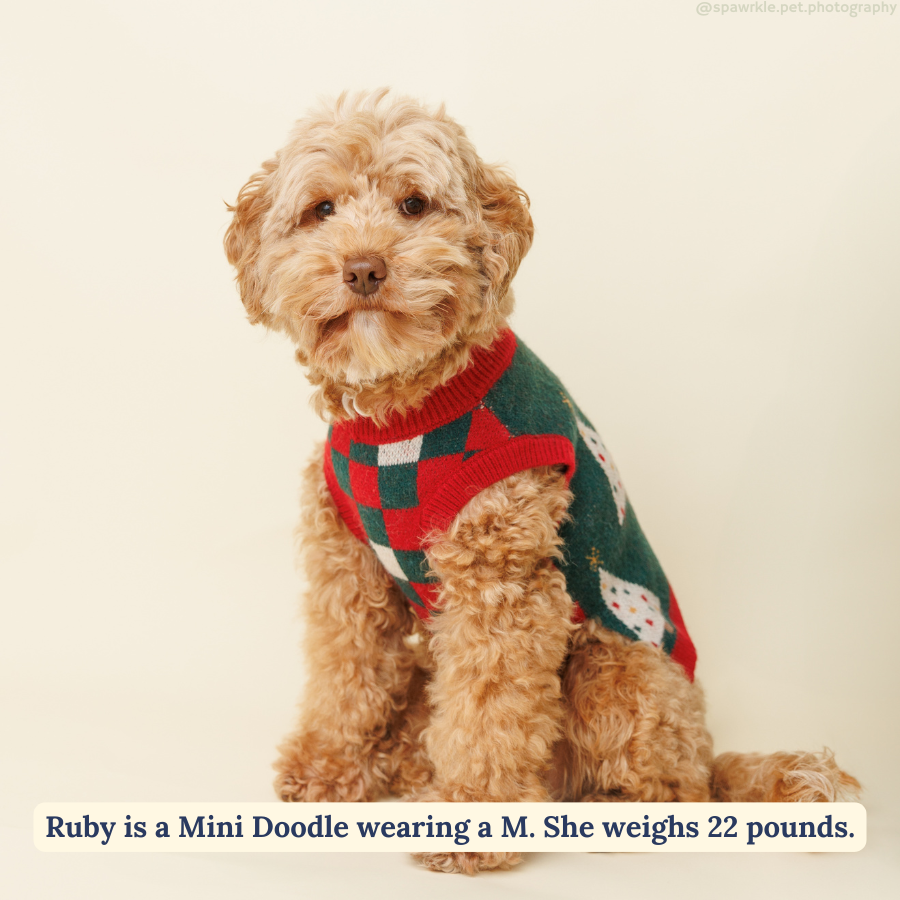 Lucy & Co. The Oh, Christmas Tree Sweater