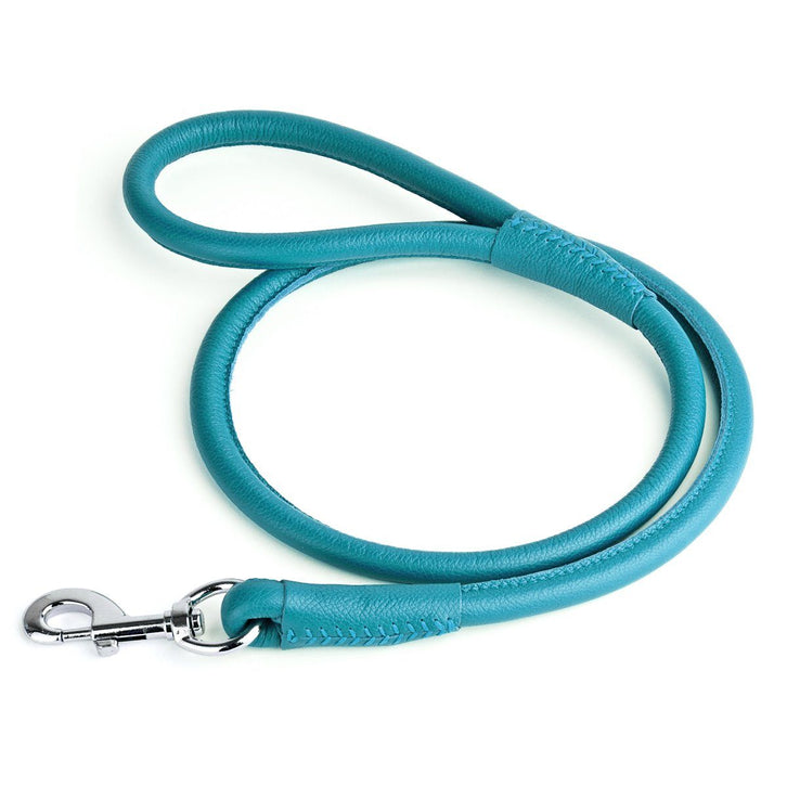 Dogline Round Leather Leash- Teal
