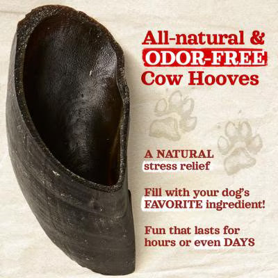 Natural Farm Cow Hooves