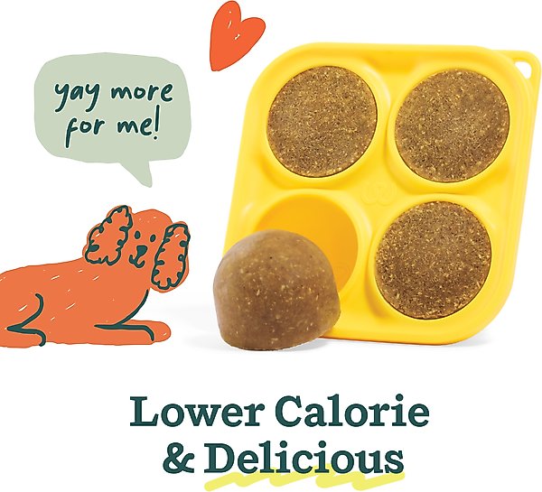 Woof Pupsicle Pumpkin Spice Mix