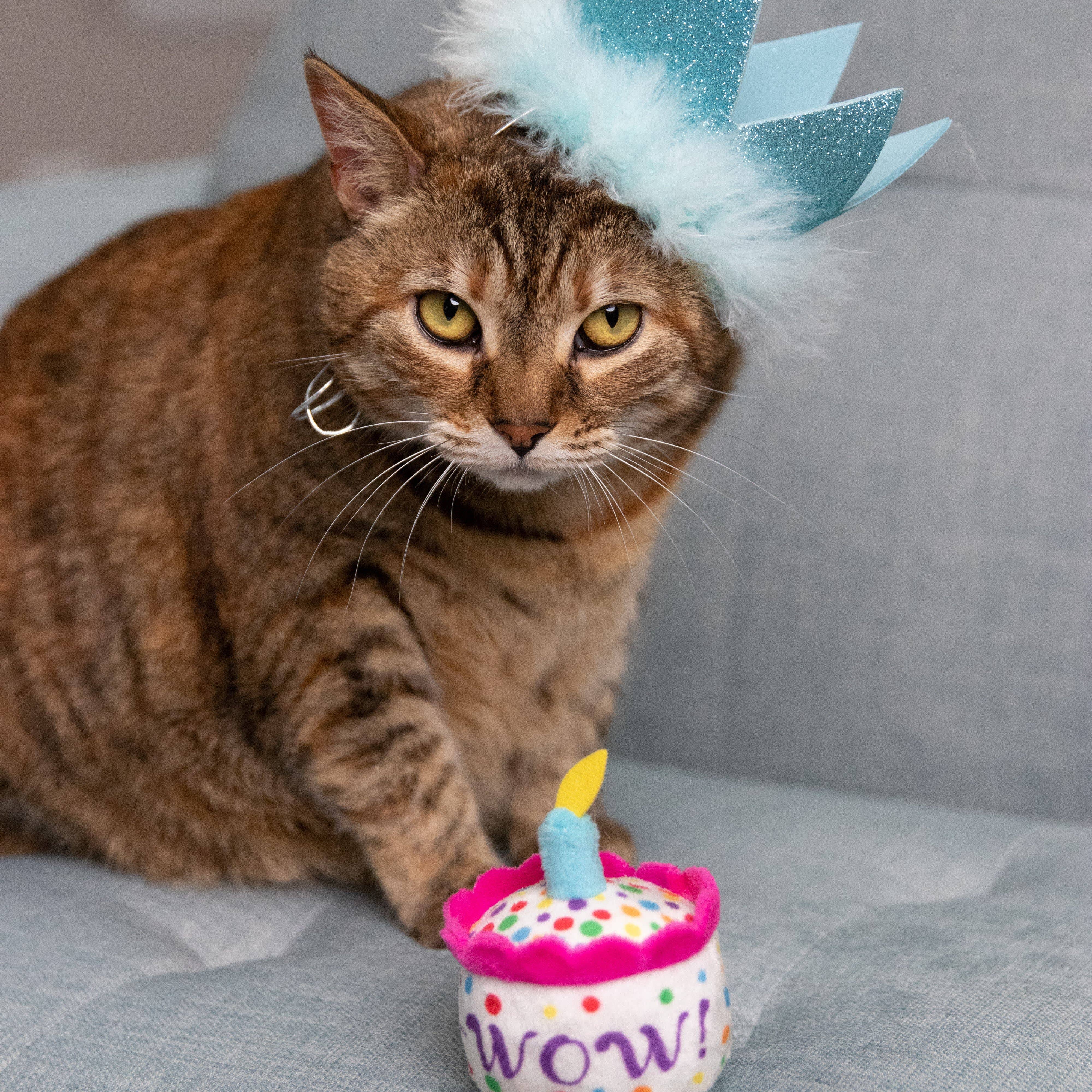 Party Crown Blue with SnugFit®