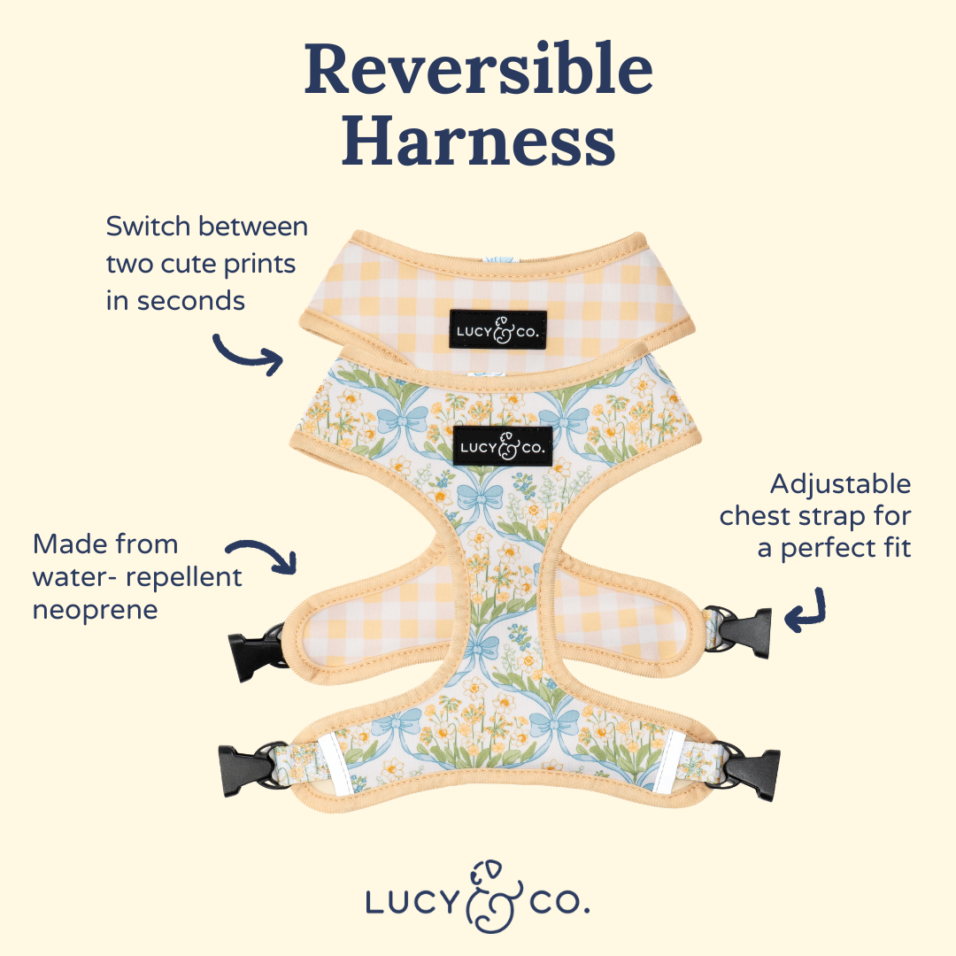 Lucy & Co Sunshine and Daffodils Reversible Harness
