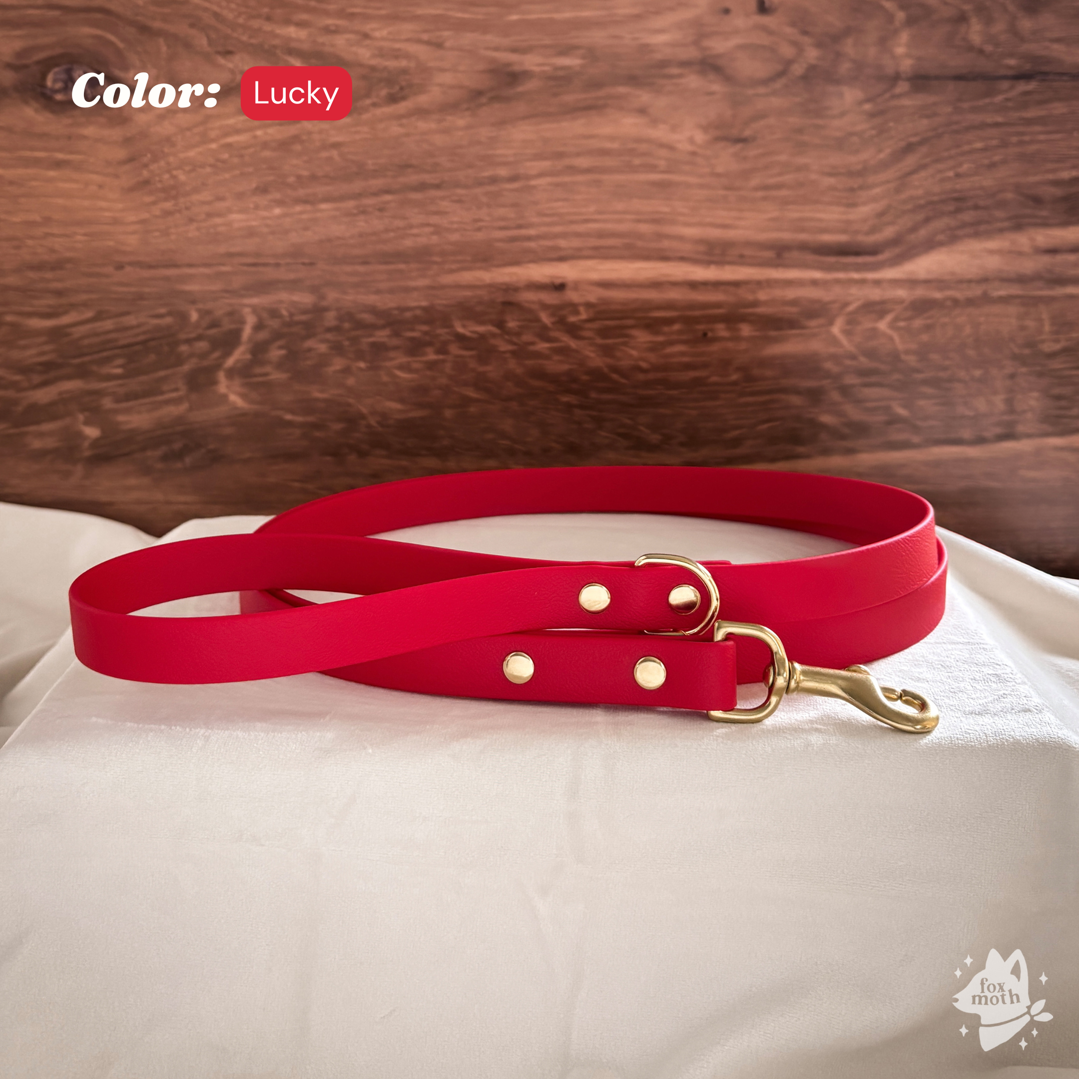 Foxmoth Biothane Waterproof Leash