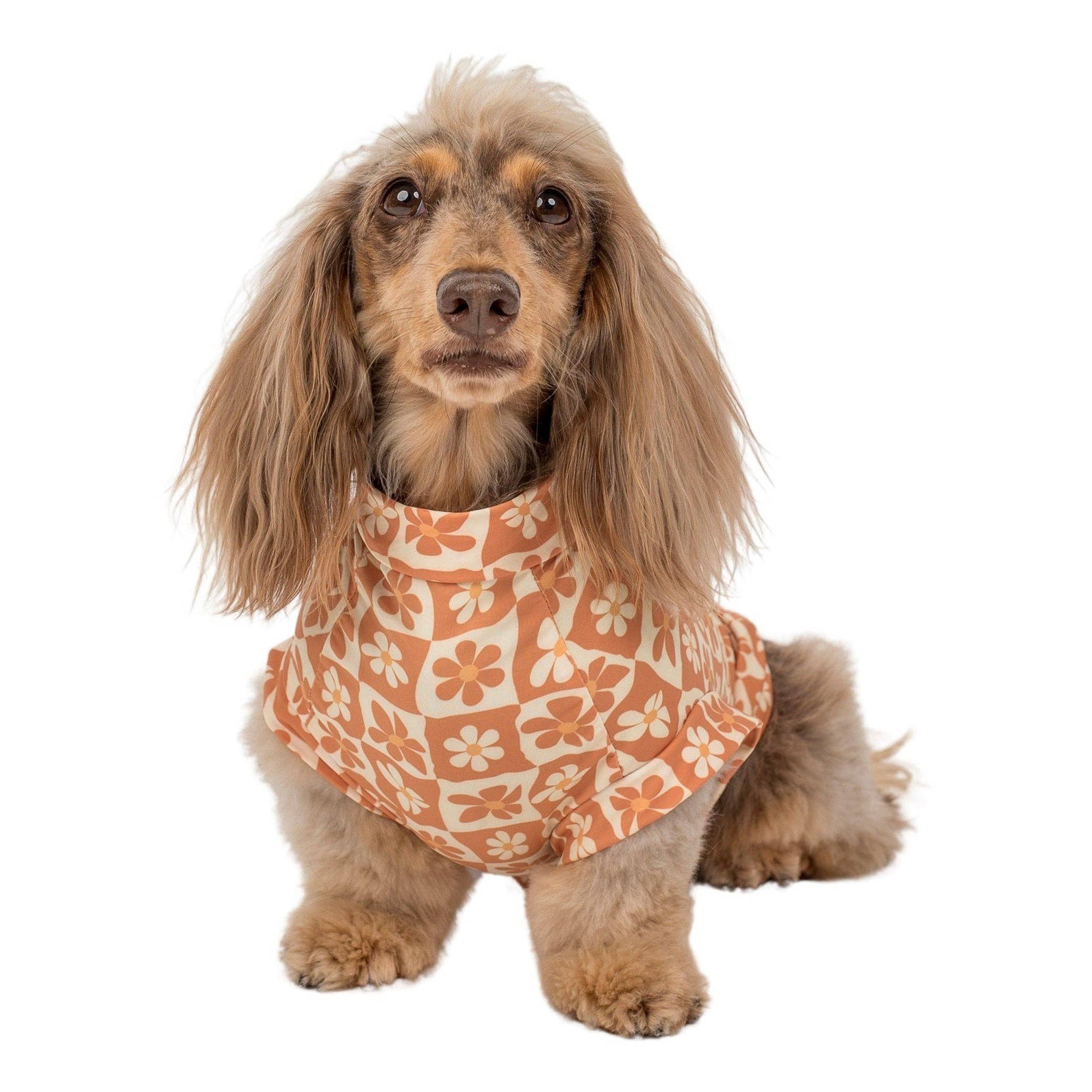 Pable & Co Retro Dazie Cooling Dog Rashie