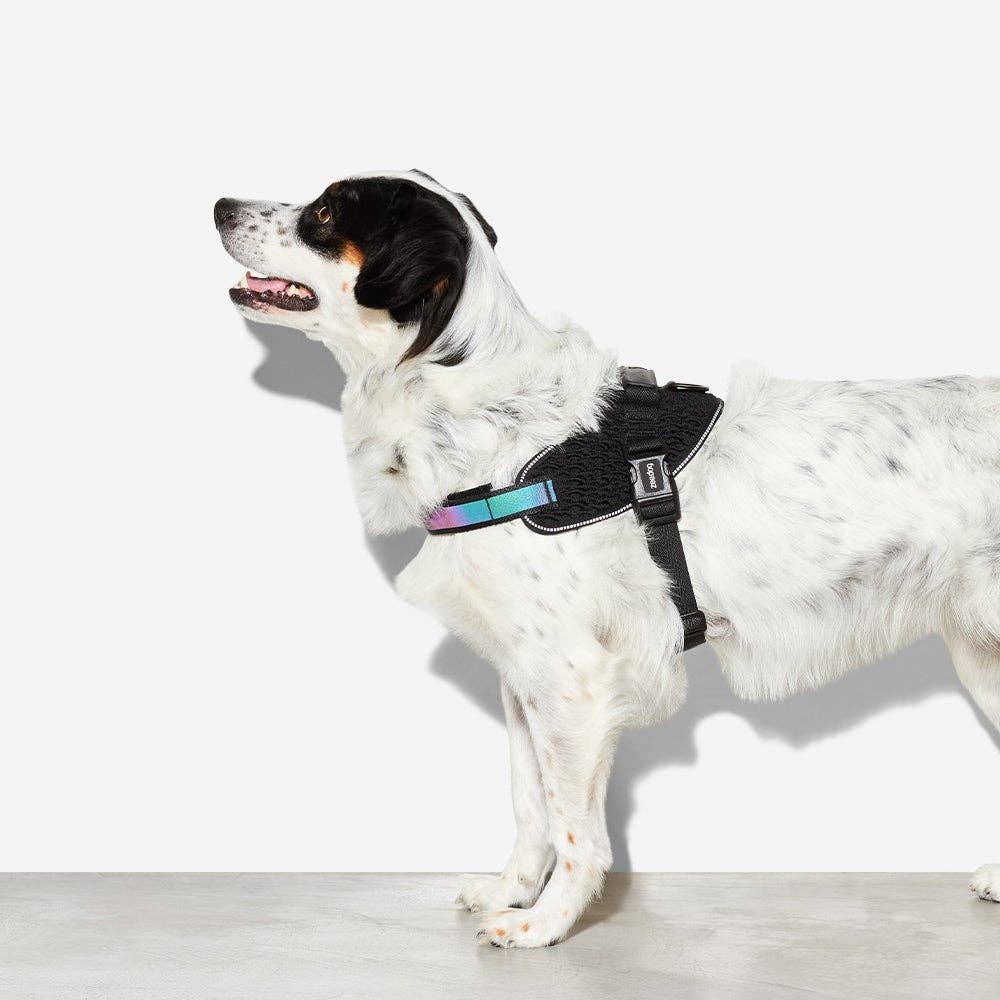 Zee.Dog Fly Harness - Gotham