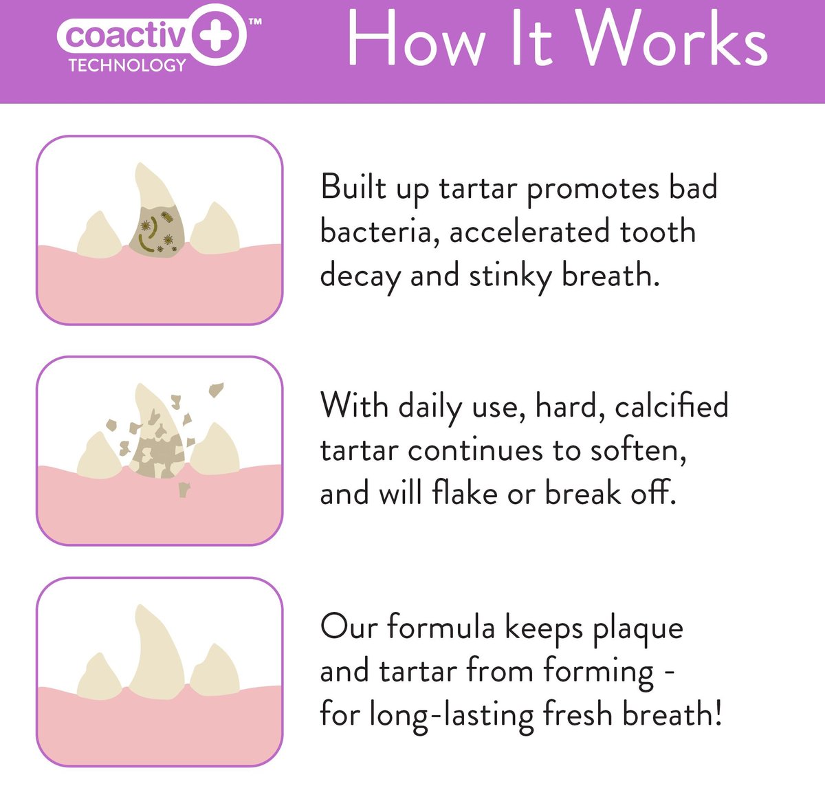 Skout's Honor Pet Dental Wipes 50ct.
