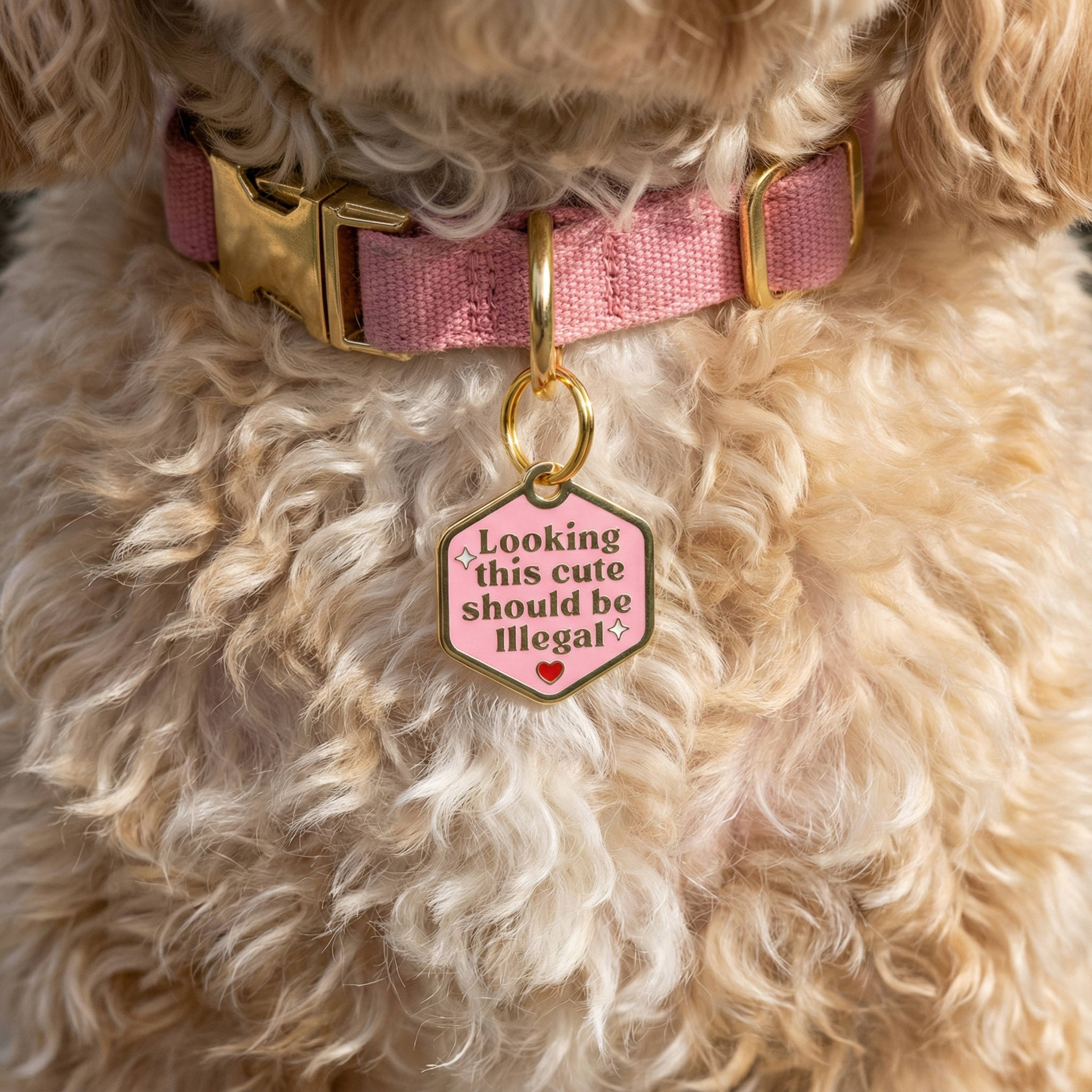 Bad Tags Looking This Cute