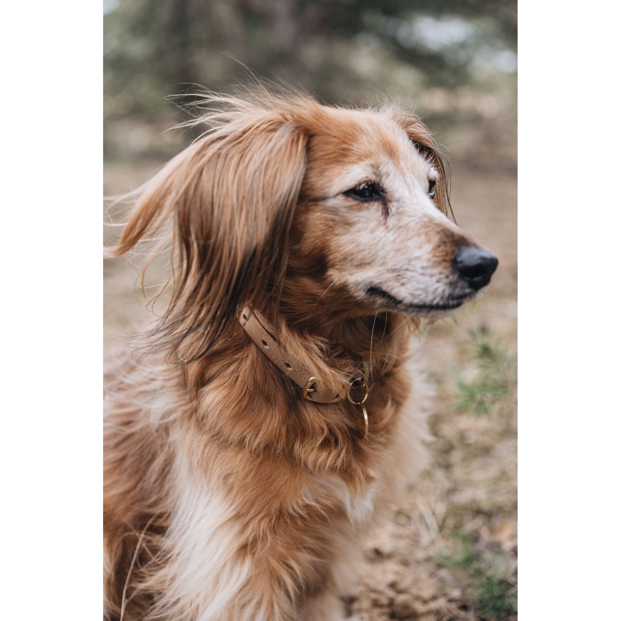 BAND&ROLL Leather Fir Collar