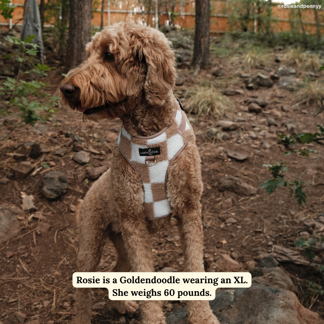 Lucy & Co. Checkers No-Pull Harness