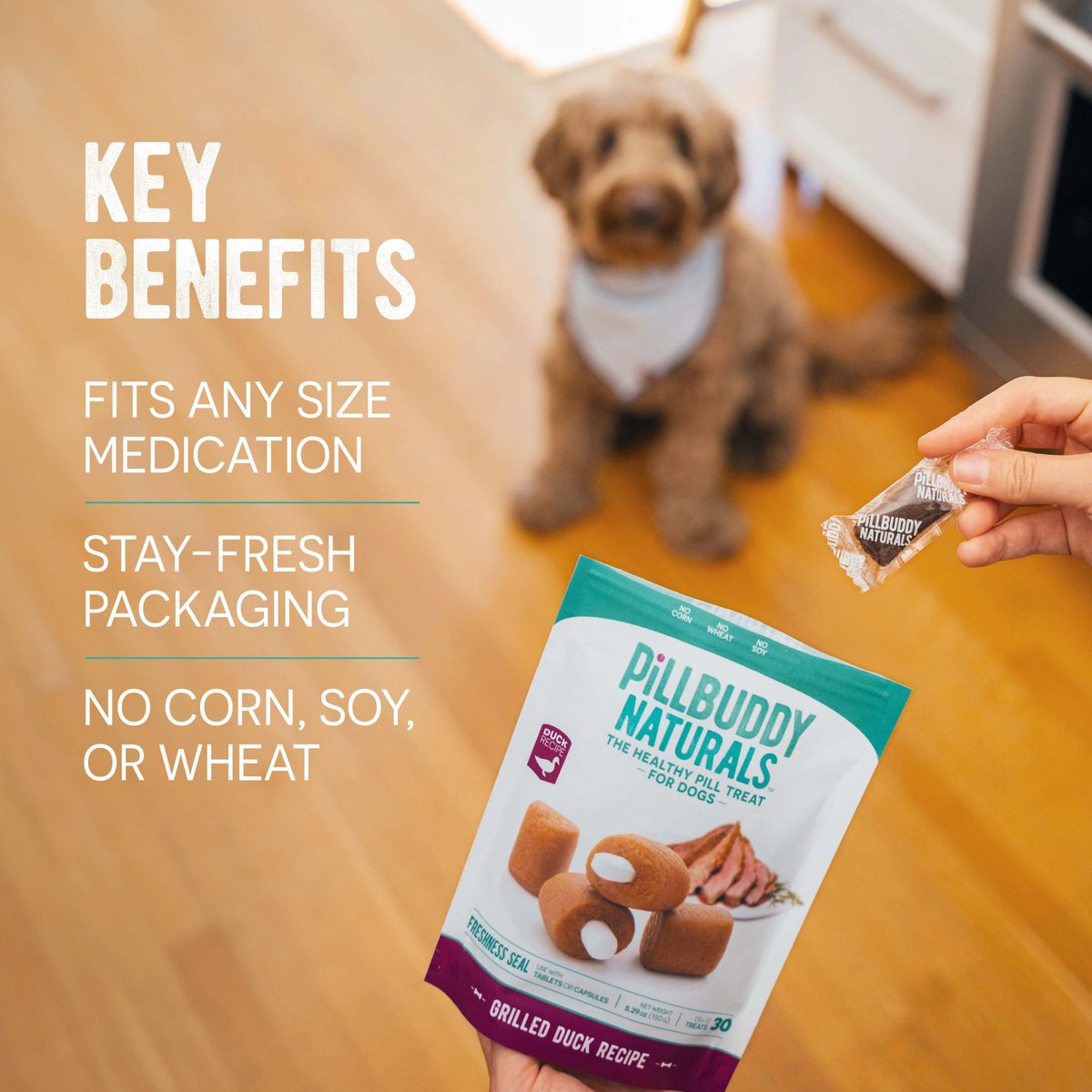 Presidio Pill Buddy Natural Beef 30 count