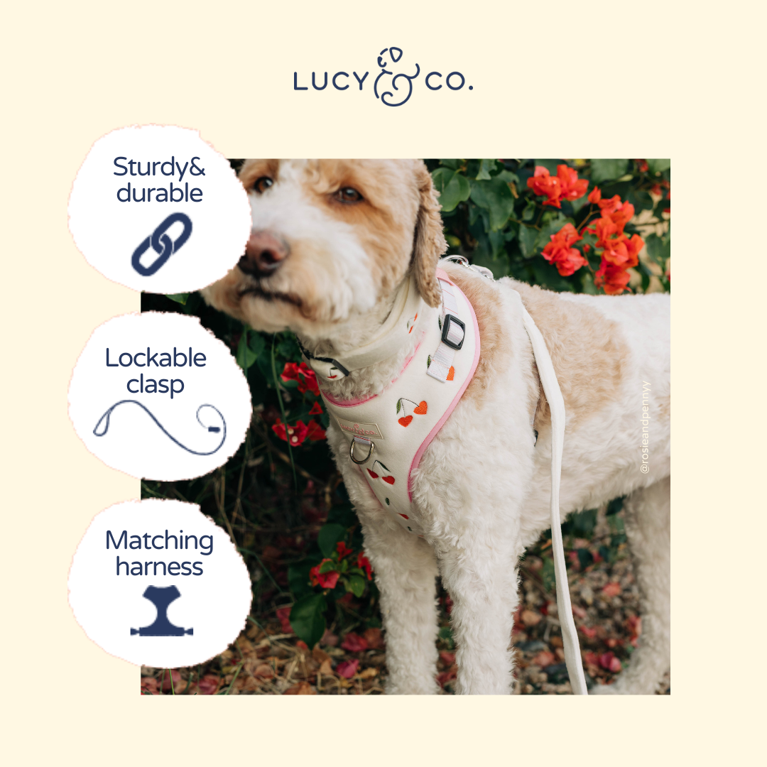 Lucy & Co. Soft White Velour Leash