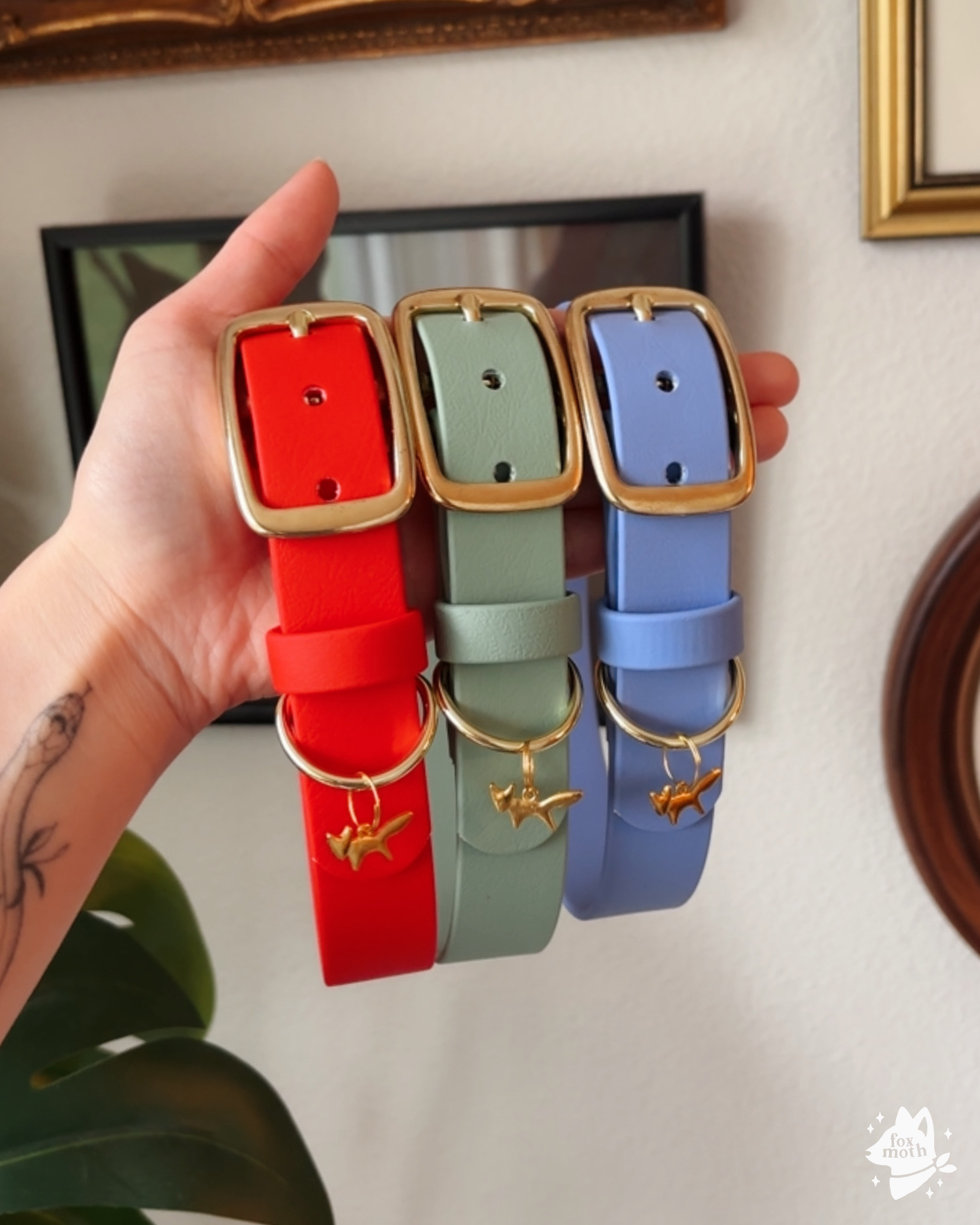 Foxmoth Waterproof Biothane Collar