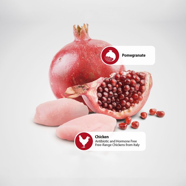 Farmina Dog Grain-Free Prime Chicken Pomegranate 10oz