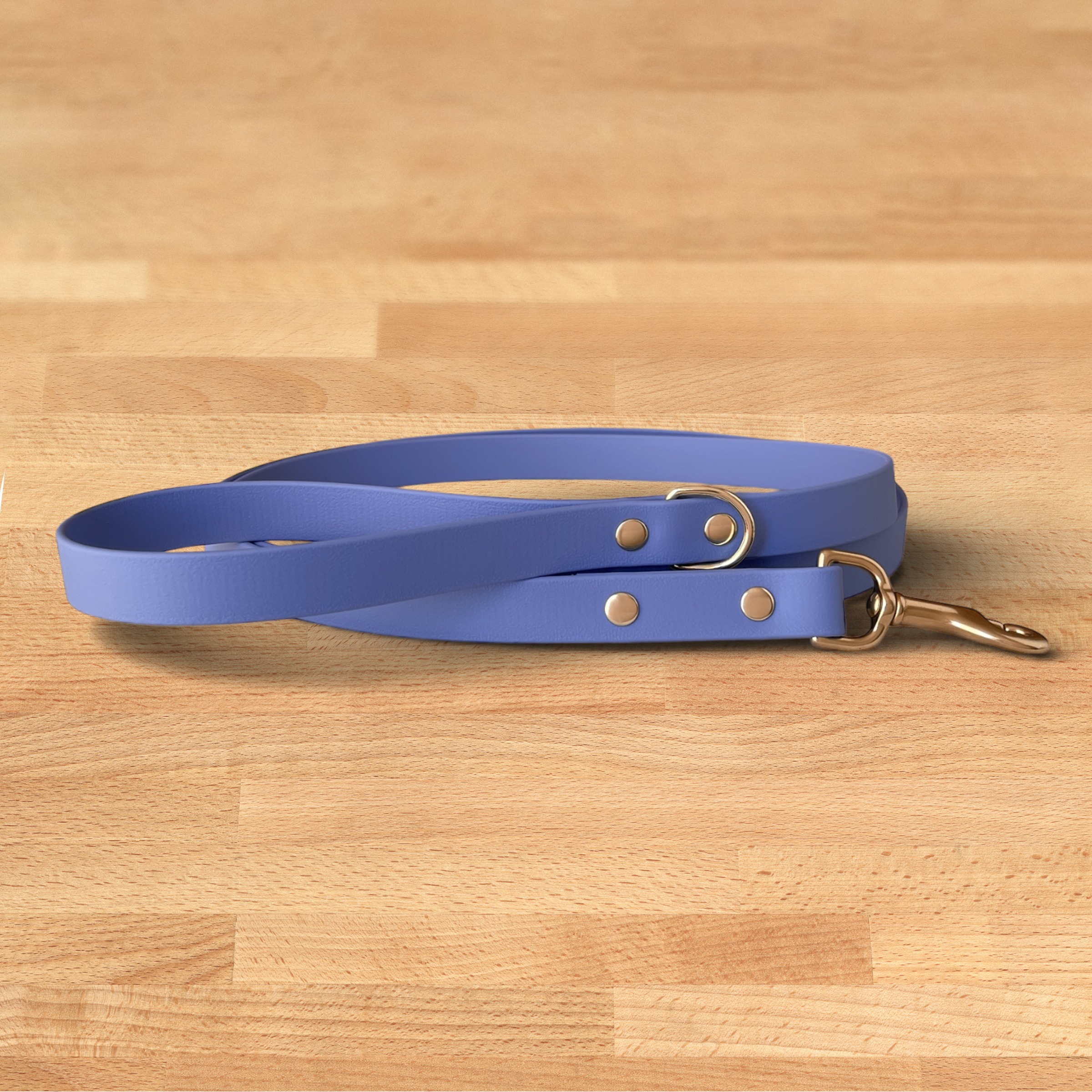 Foxmoth Biothane Waterproof Leash