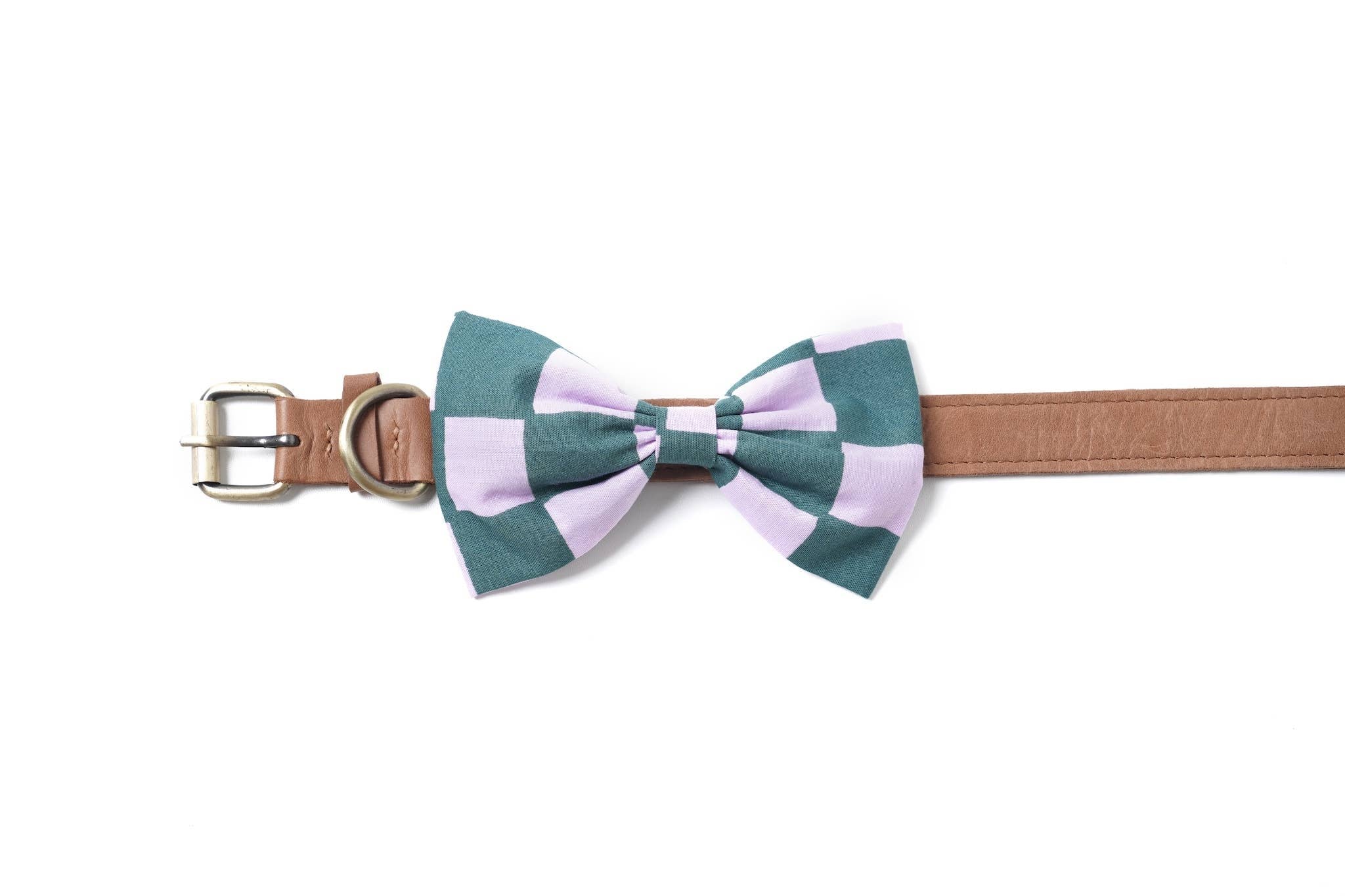 The Paws Bow Tie - Brooklyn