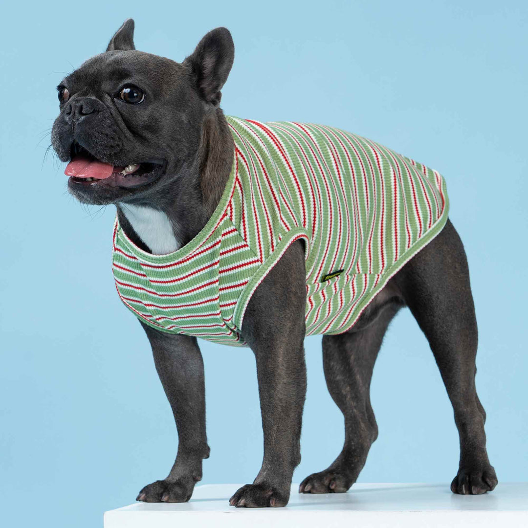 FitWarm Dog Shirt Striped Green