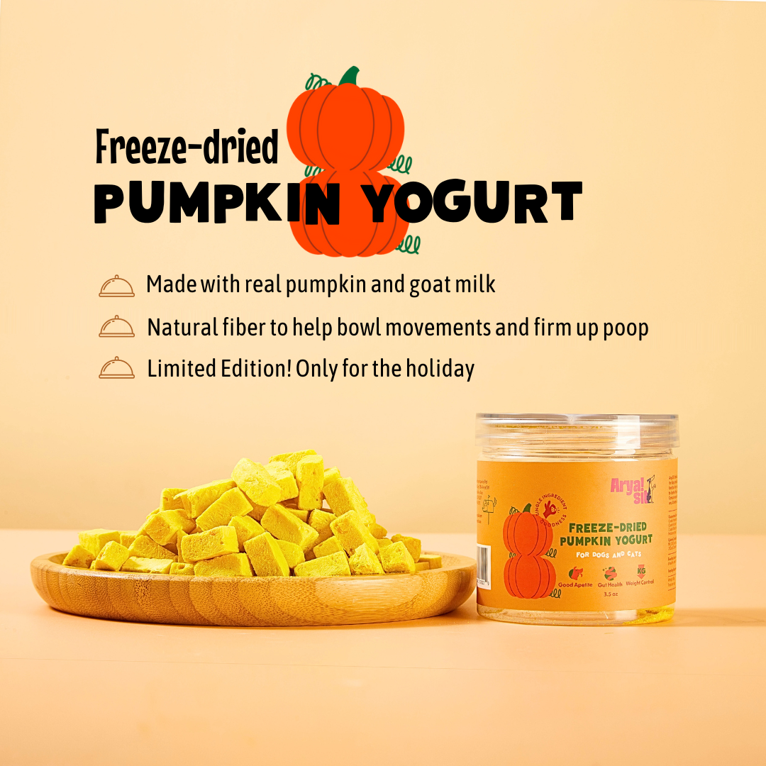 Arya Sit! Freeze-Dried Pumpkin Yogurt 3.5oz