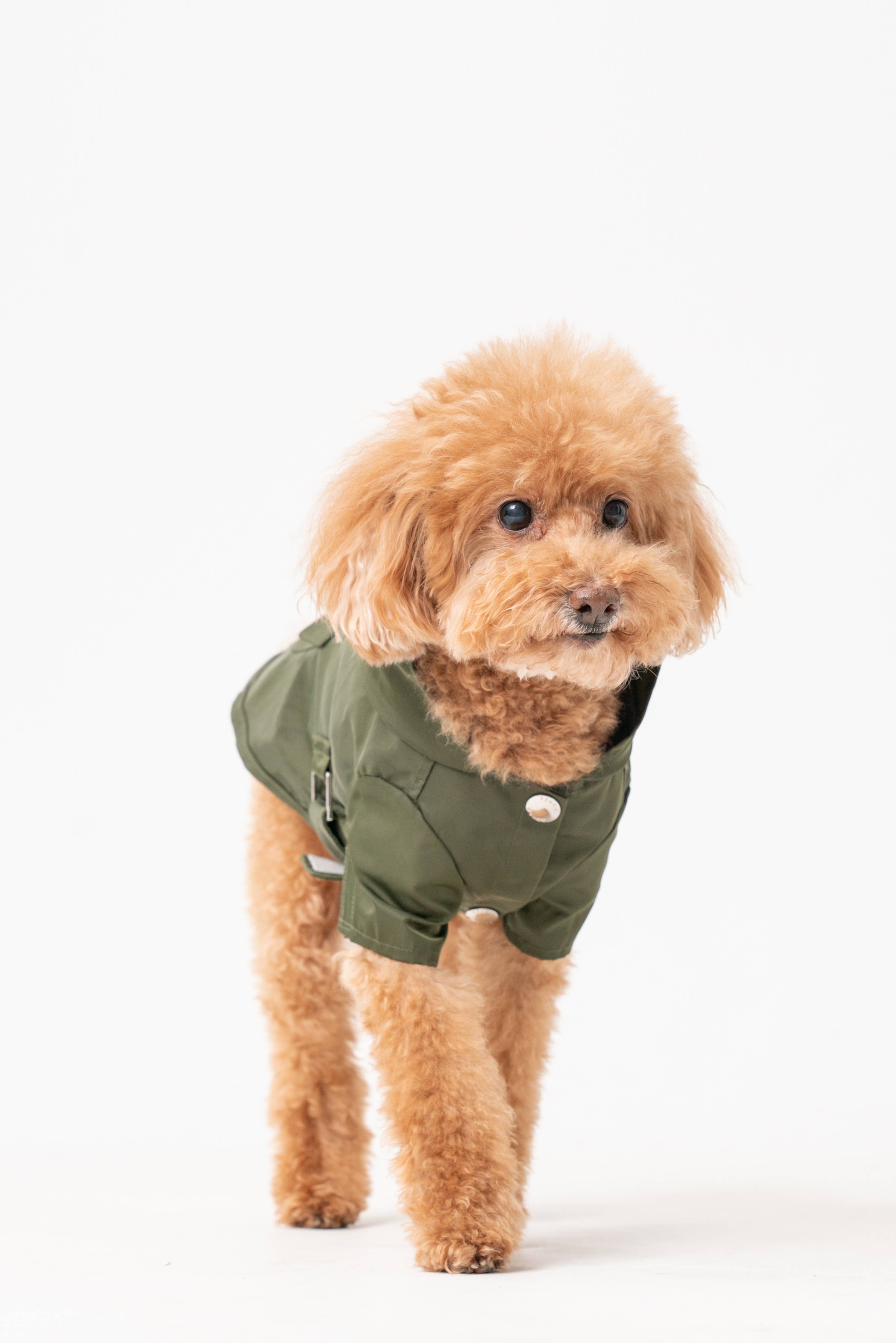 PEHOM Green Raincoat