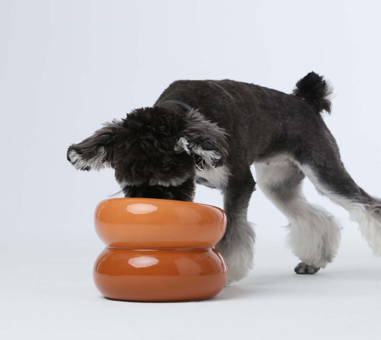 Pehom Soufflé Pet Bowl - Amber Orange