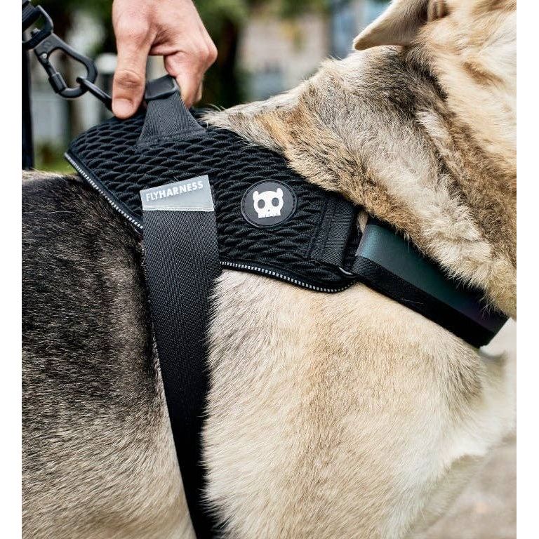 Zee.Dog Fly Harness - Gotham