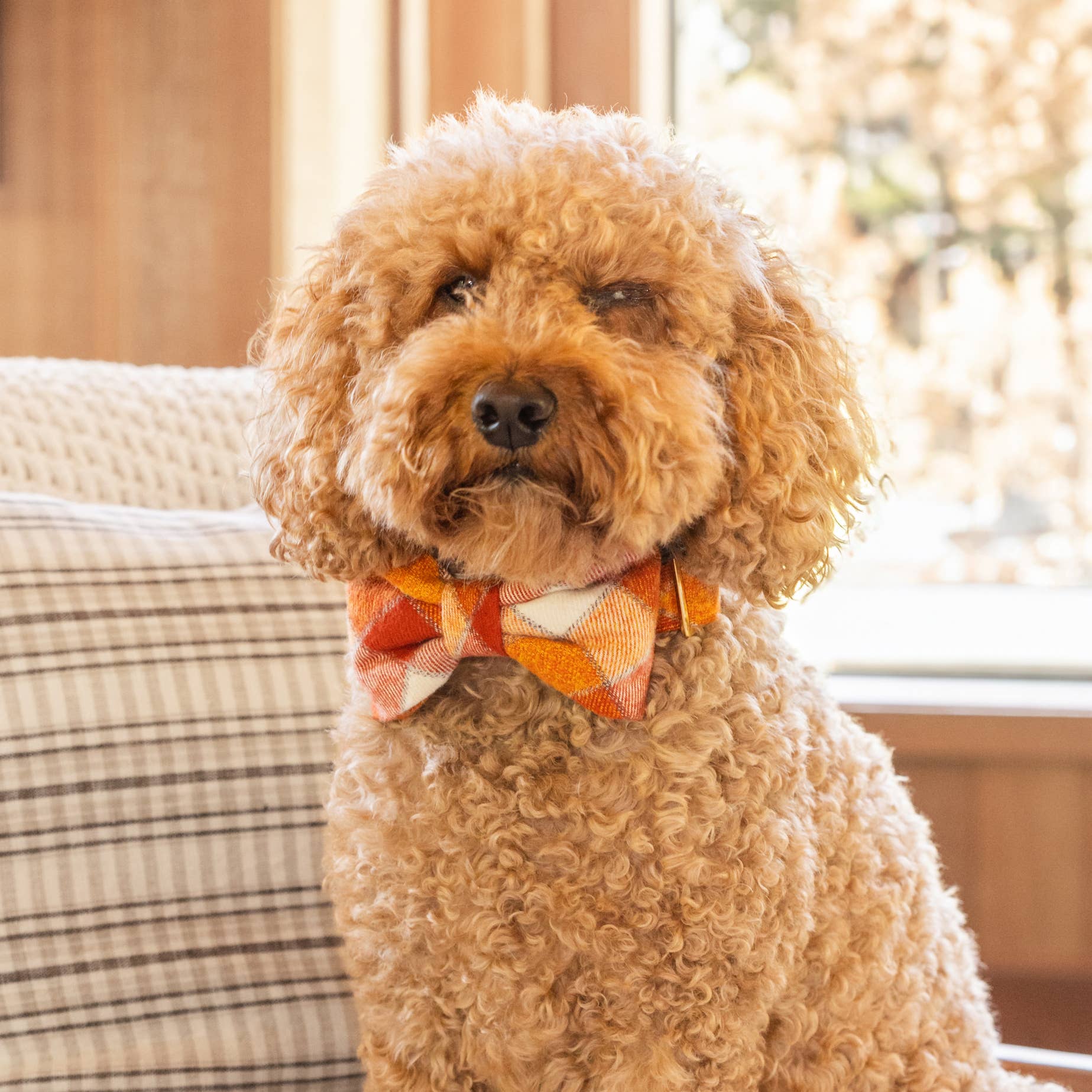 The Foggy Dog Pumpkin Spice Plaid Flannel Fall Dog Bow Tie