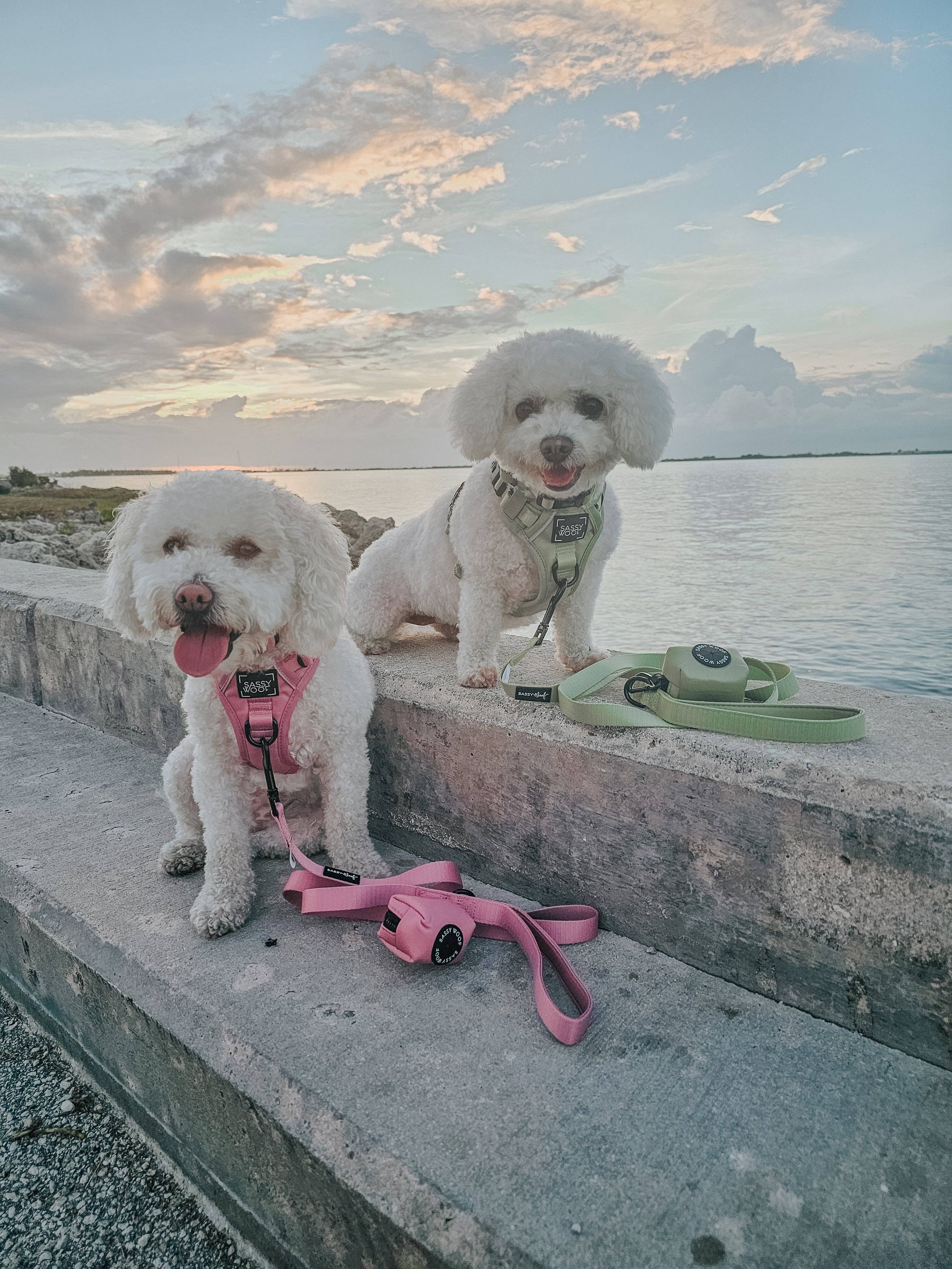 Sassy Woof Dog Leash - Dusty Rose