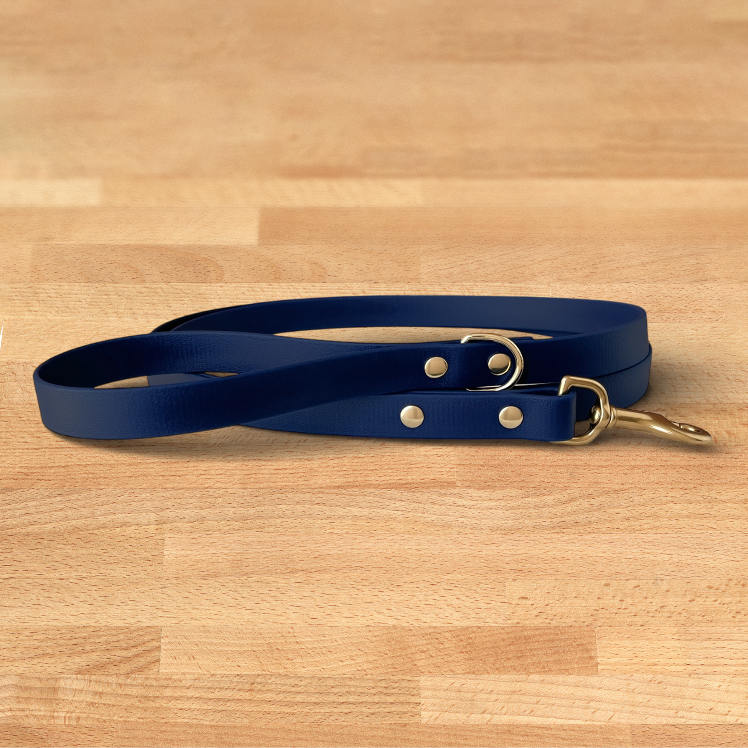 Foxmoth Biothane Waterproof Leash
