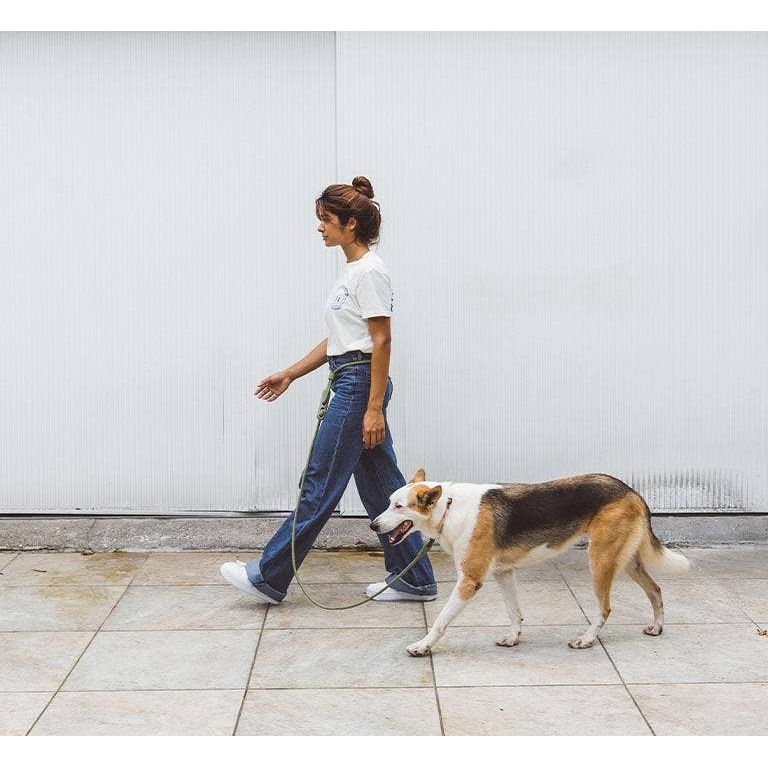 Zee.Dog Hands-Free Leash - Army Green