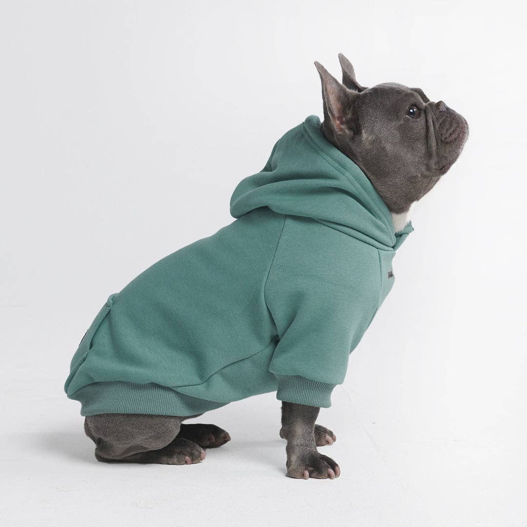SparkPaws Essential Dog Hoodie - Teal