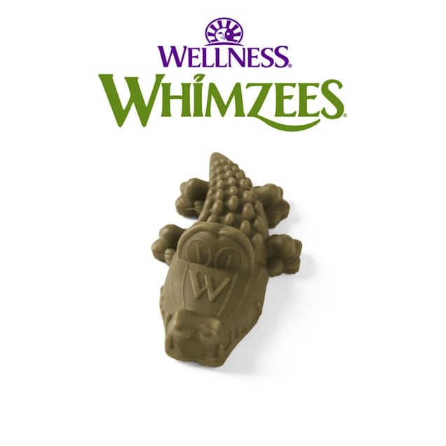 WHIMZEES ALLIGATOR/toothbrush SMALL / Single
