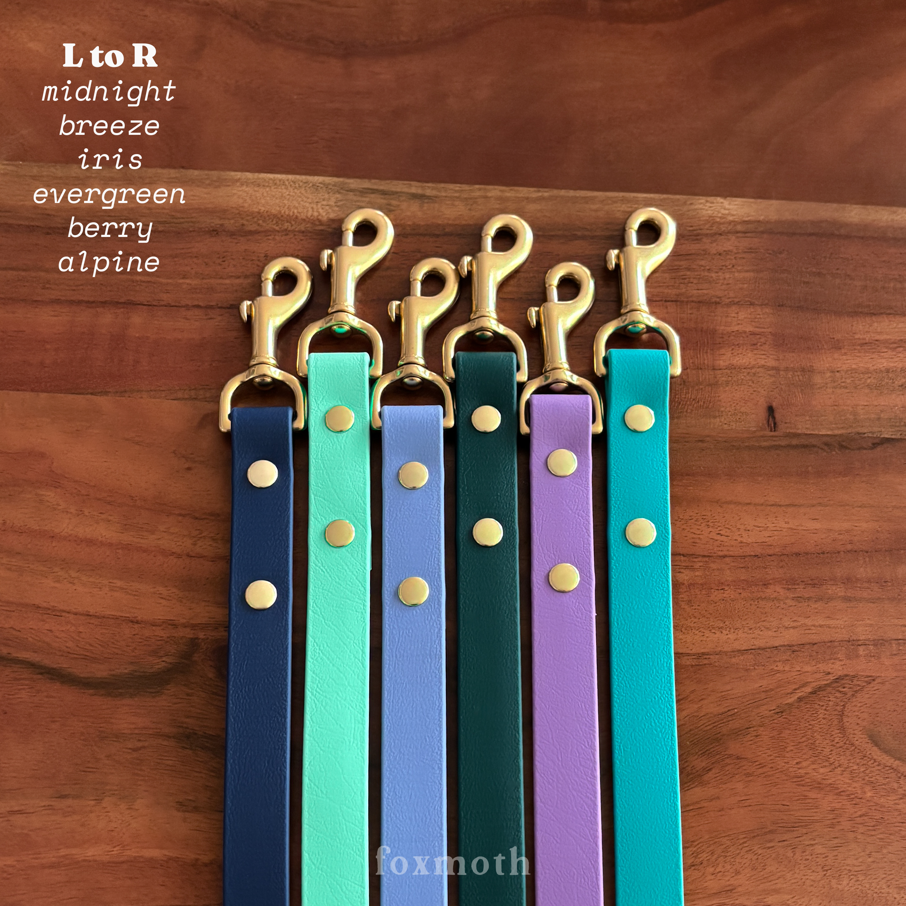 Foxmoth Biothane Waterproof Leash