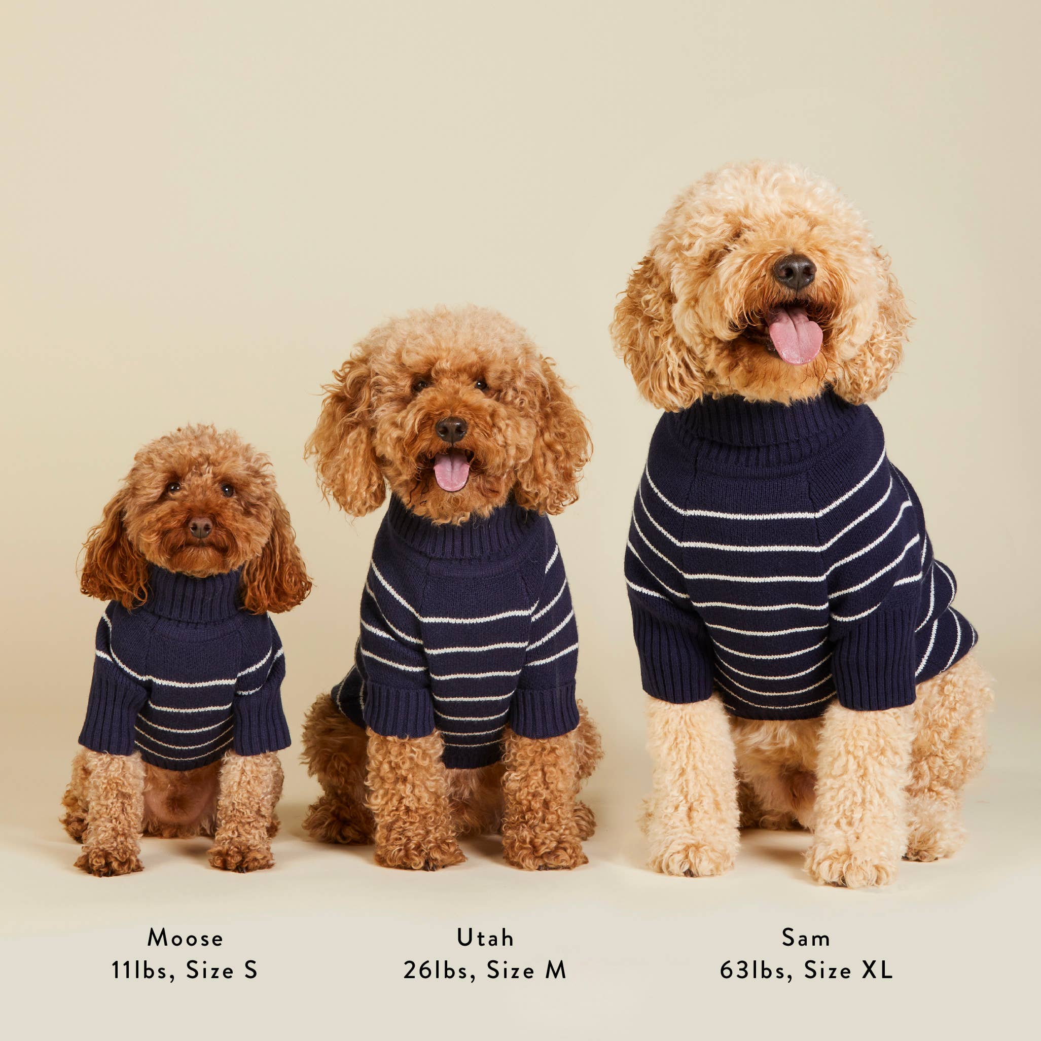The Foggy Dog x Draper James Mariner Stripe Dog Sweater
