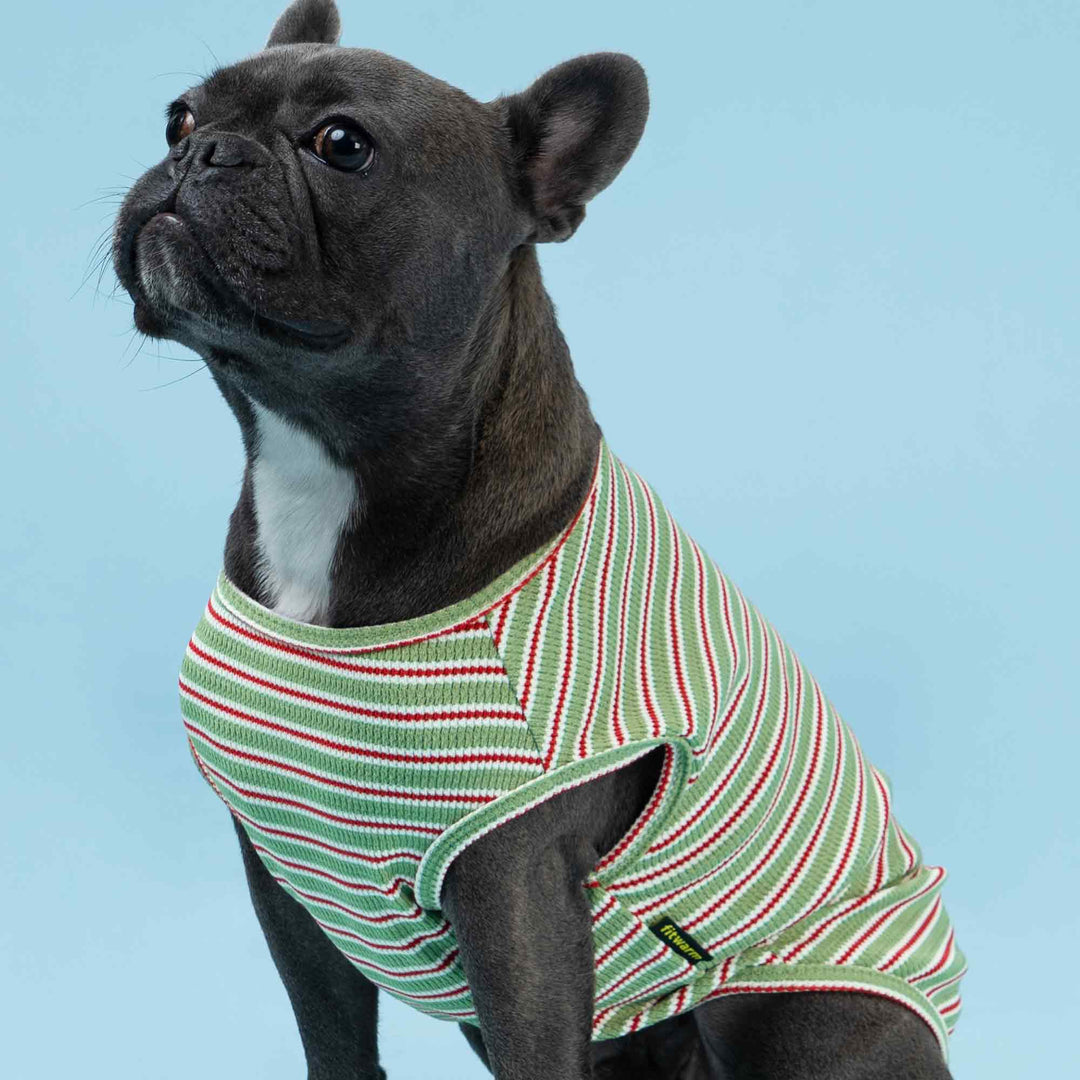 FitWarm Dog Shirt Striped Green