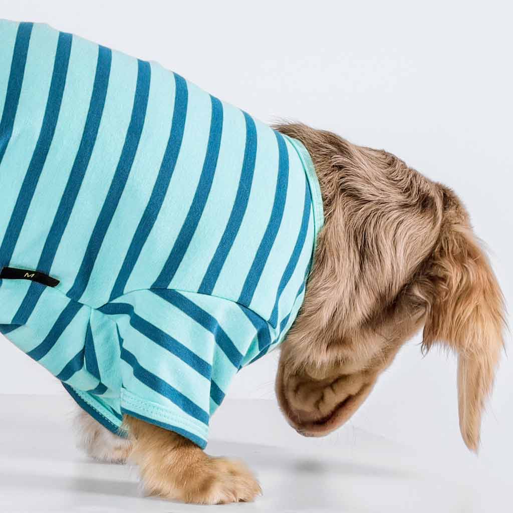 Fitwarm Striped Tee Teal