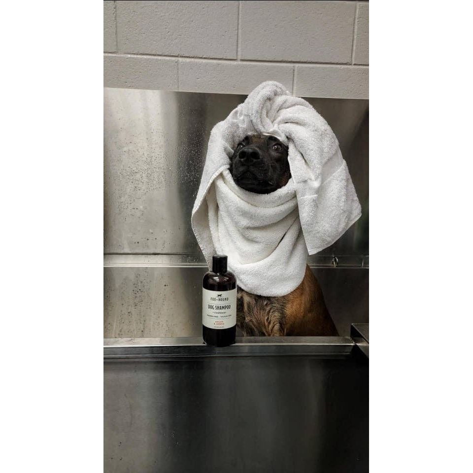Fox+ Hound Dog Shampoo + Conditioner Argan & Amber