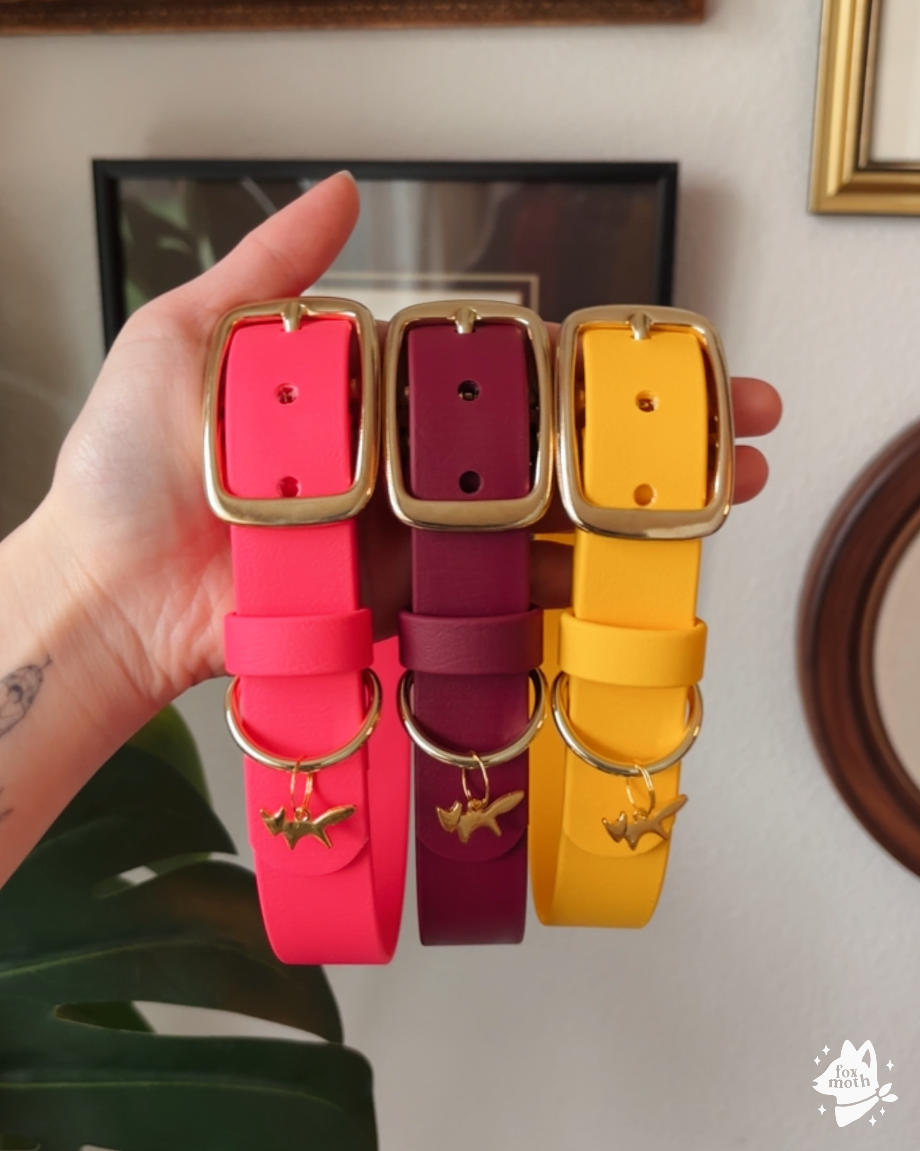 Foxmoth Waterproof Biothane Collar
