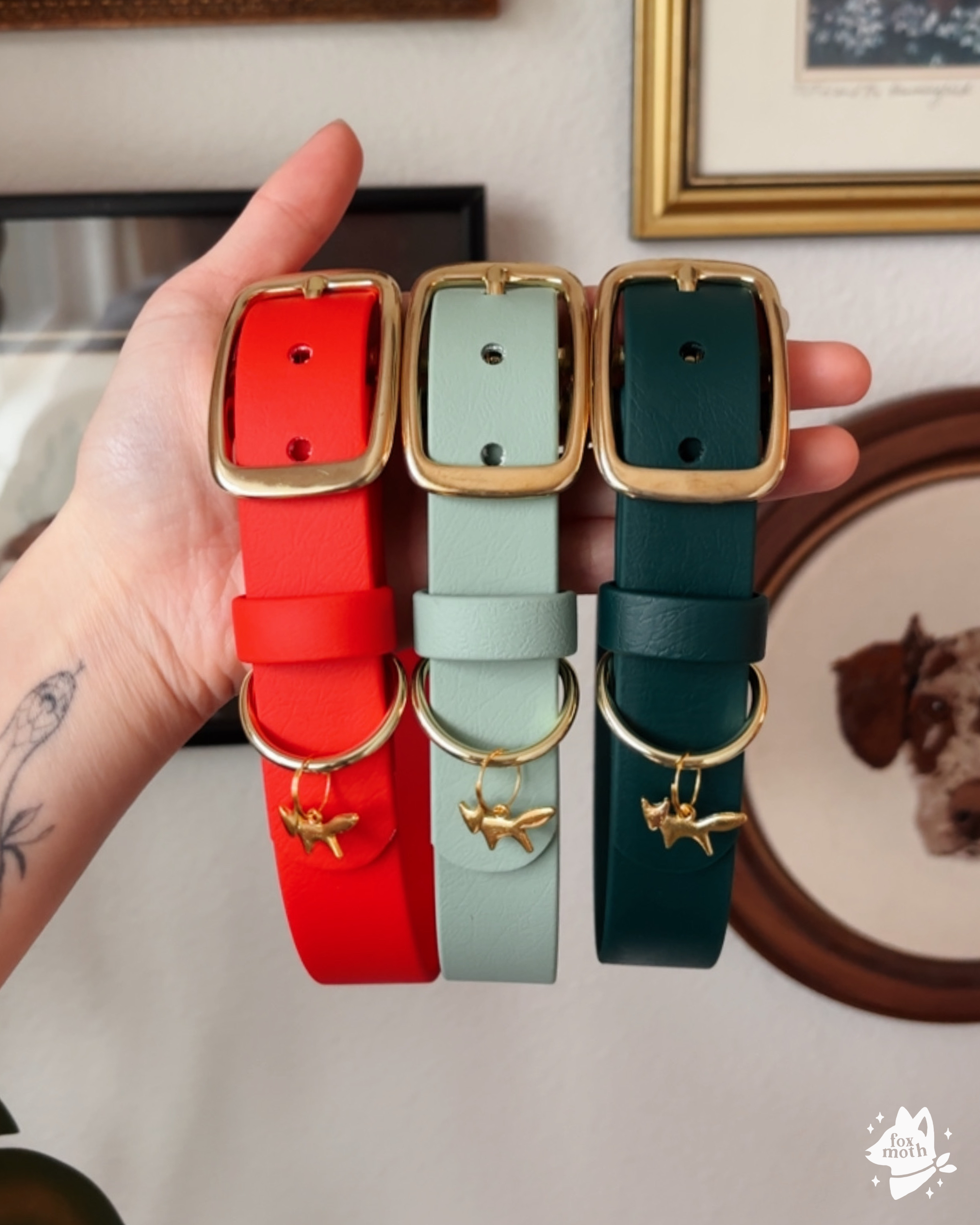 Foxmoth Waterproof Biothane Collar