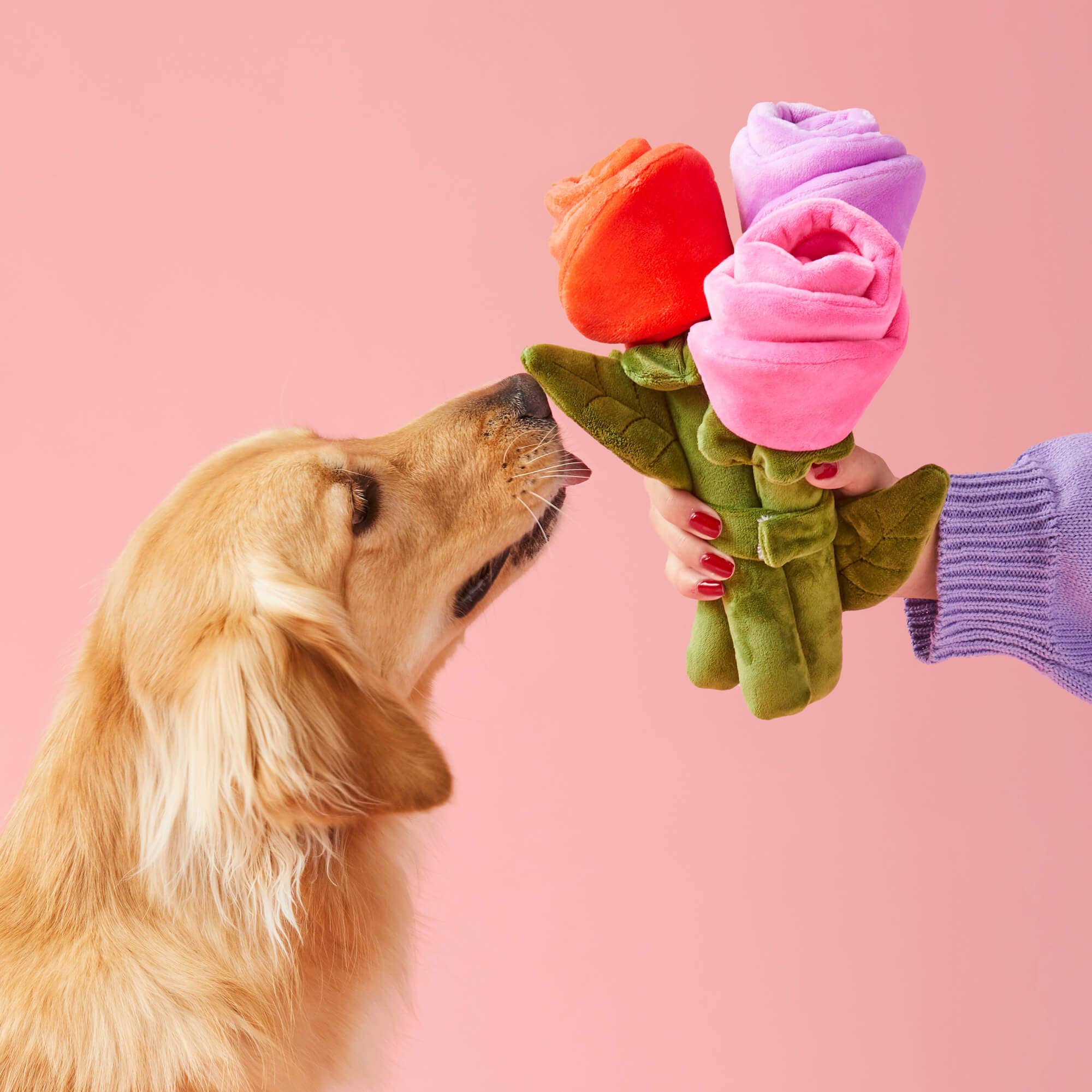 The Foggy Dog Bouquet of Roses