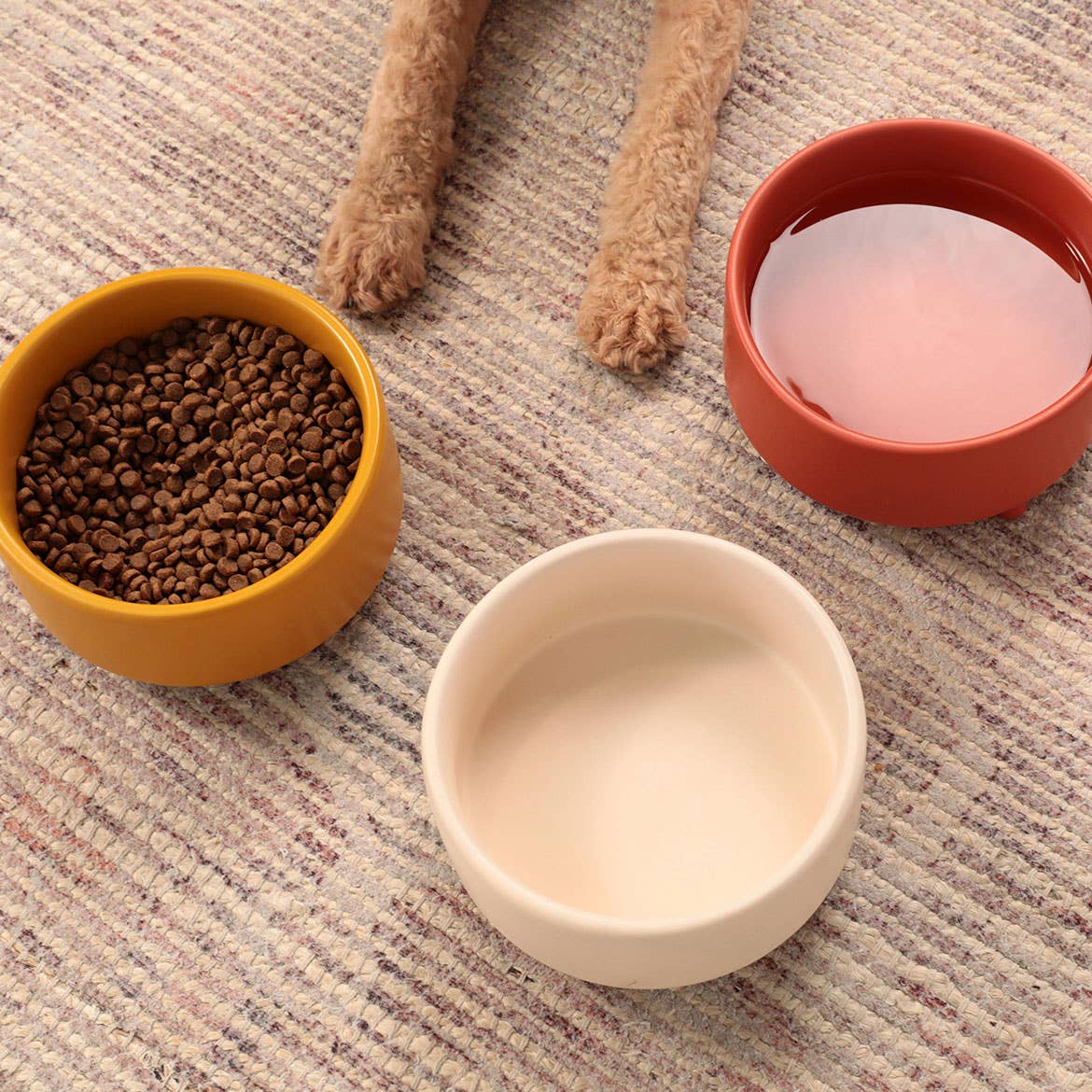 Waggo Uplift Bowl Ceramic Dog Bowl