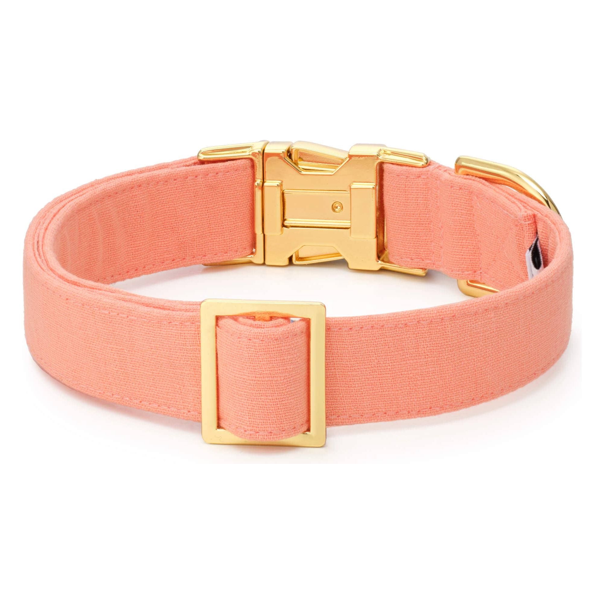 The Foggy Dog Mango Spring Dog Collar