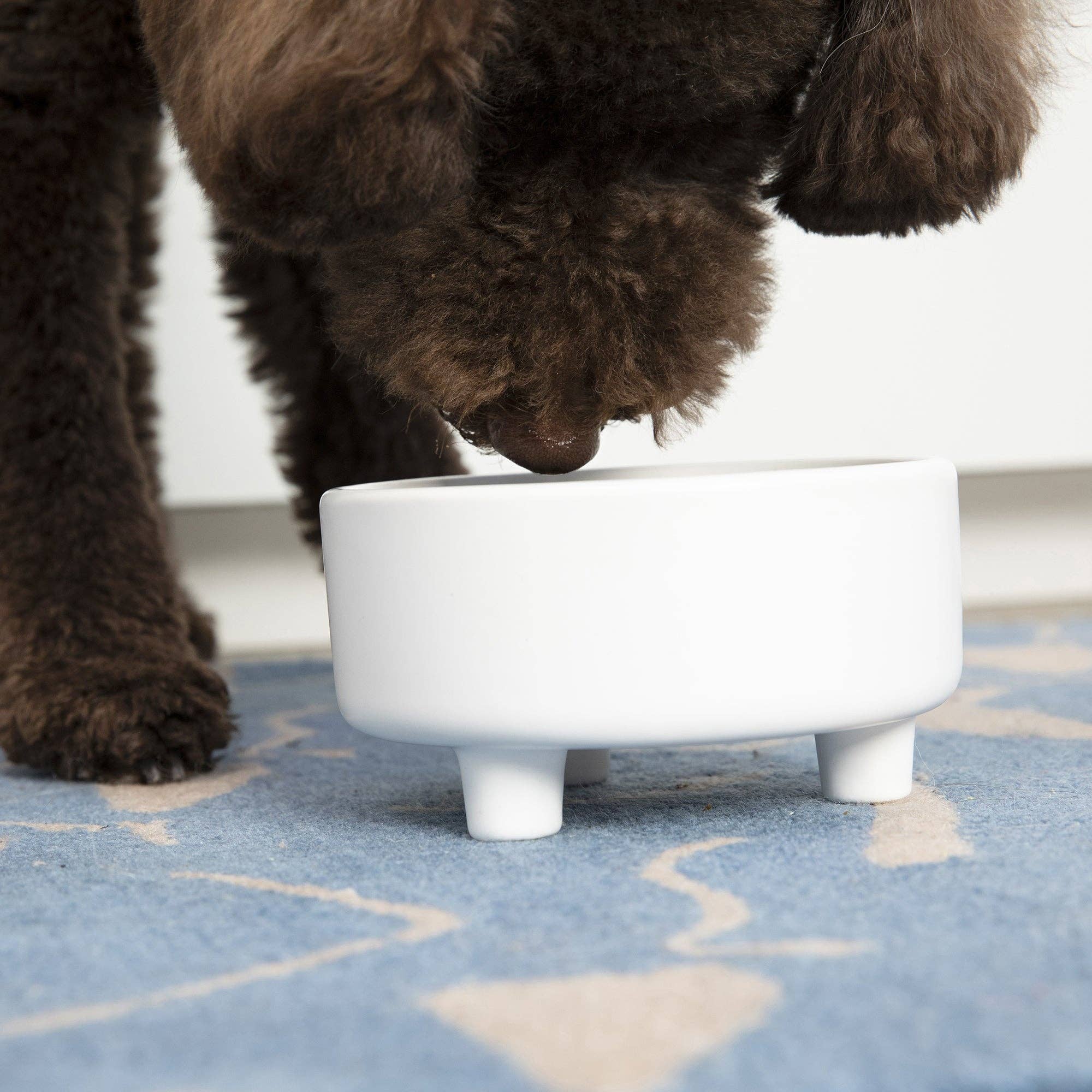 Waggo Uplift Bowl Ceramic Dog Bowl