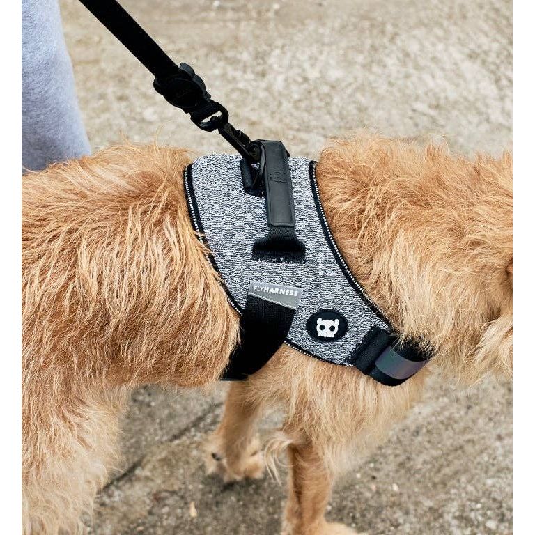 Zee.Dog FlyHarness - Urban