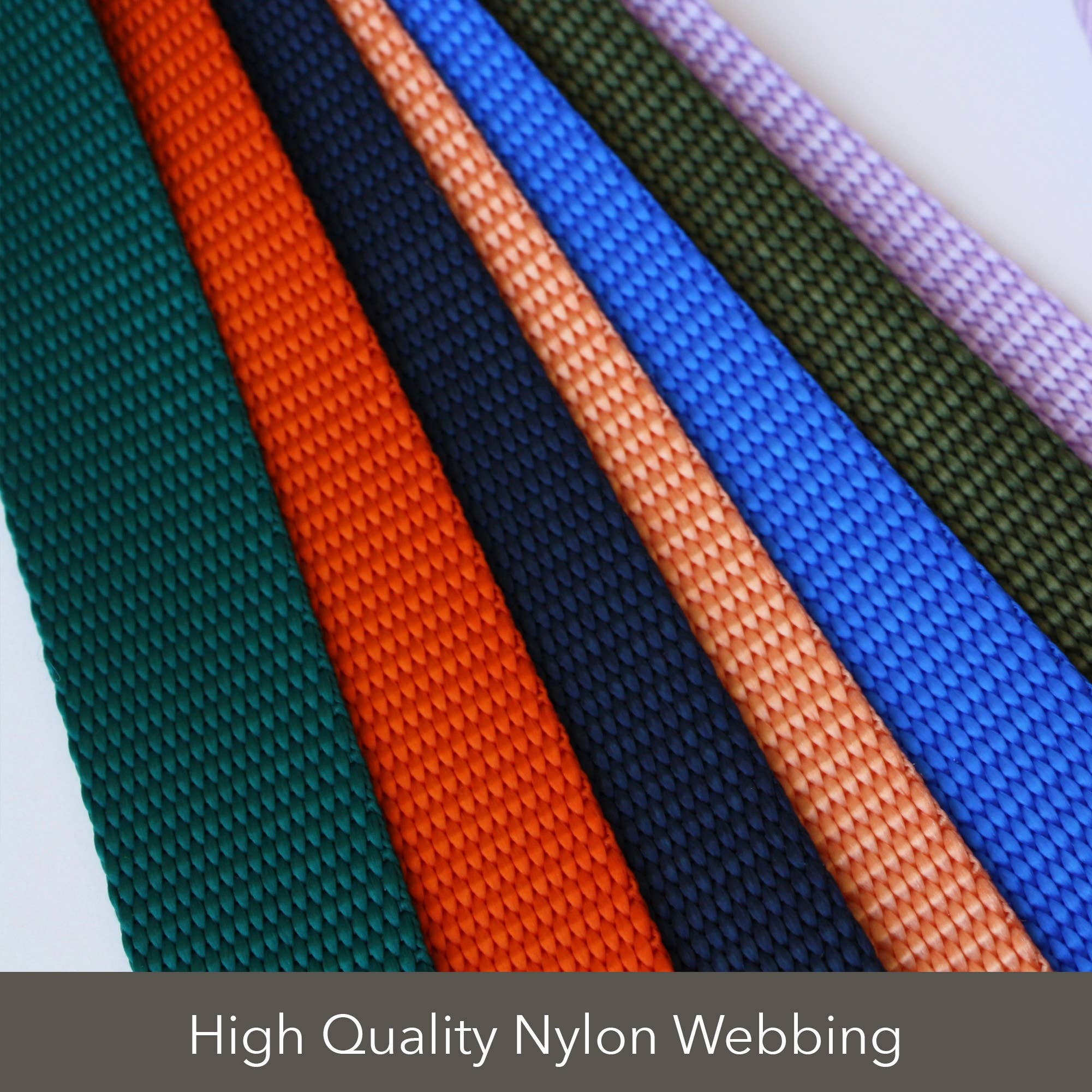 Major Darling Gold with Dandelion Martingale Collar