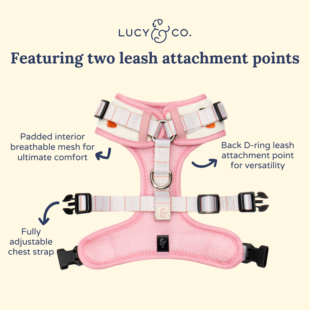 Lucy & Co. Cherry Cute Velour No-Pull Harness
