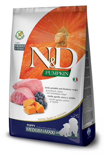 Farmina Dog N&D Grain Free Pumpkin Puppy Lamb Medium & Max