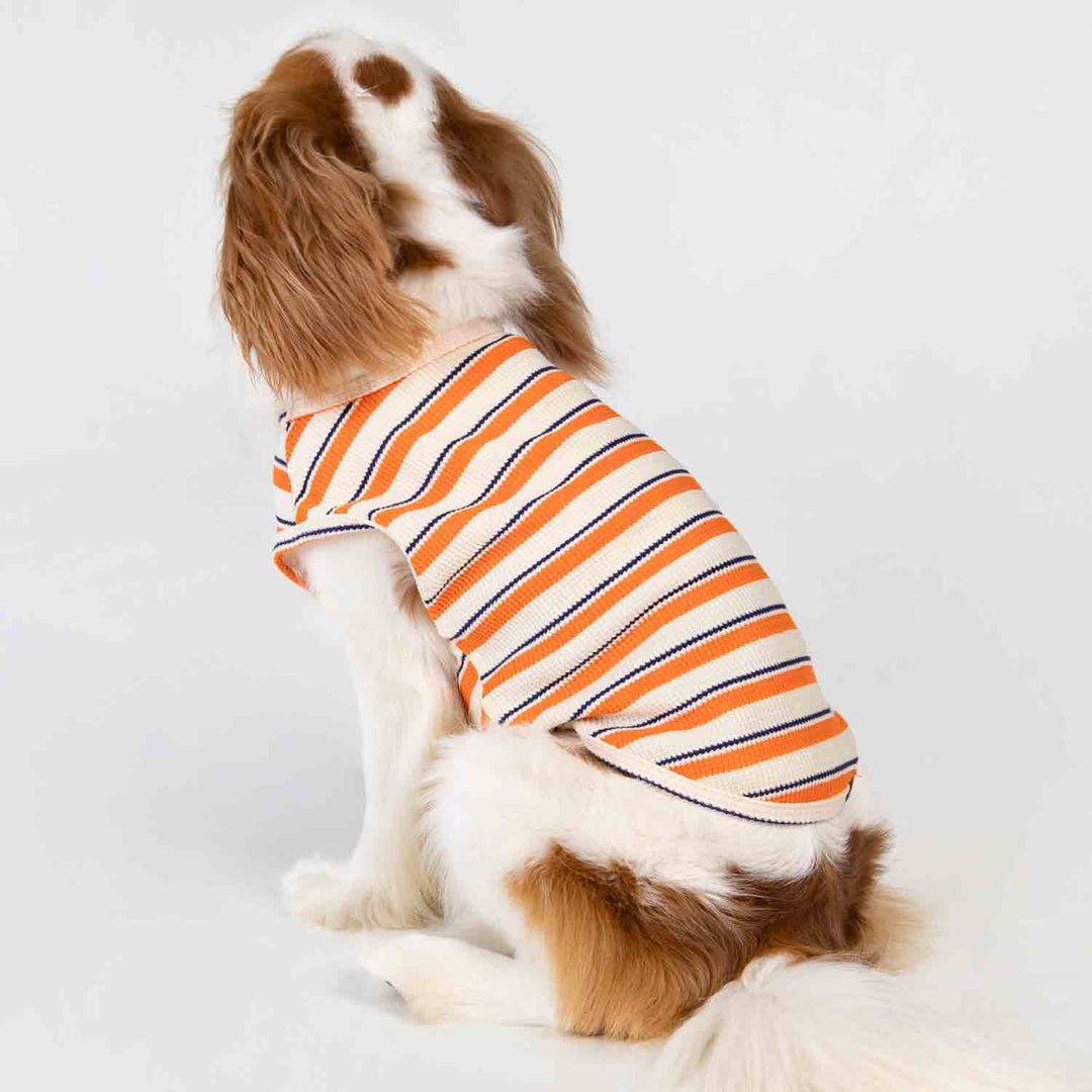 FitWarm Dog Striped Shirt Orange