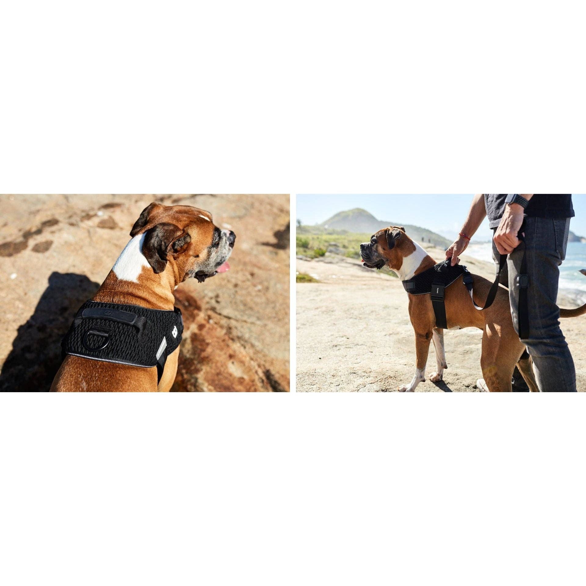 Zee.Dog Fly Harness - Gotham