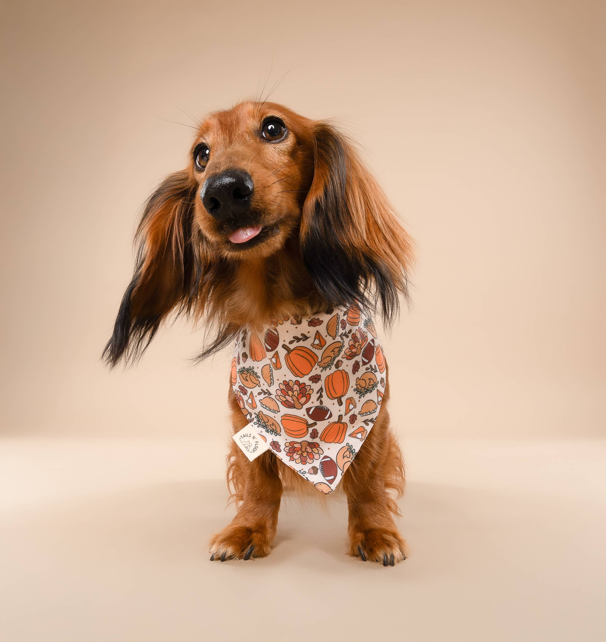 Tails N' Floof Feast & Football Bandana