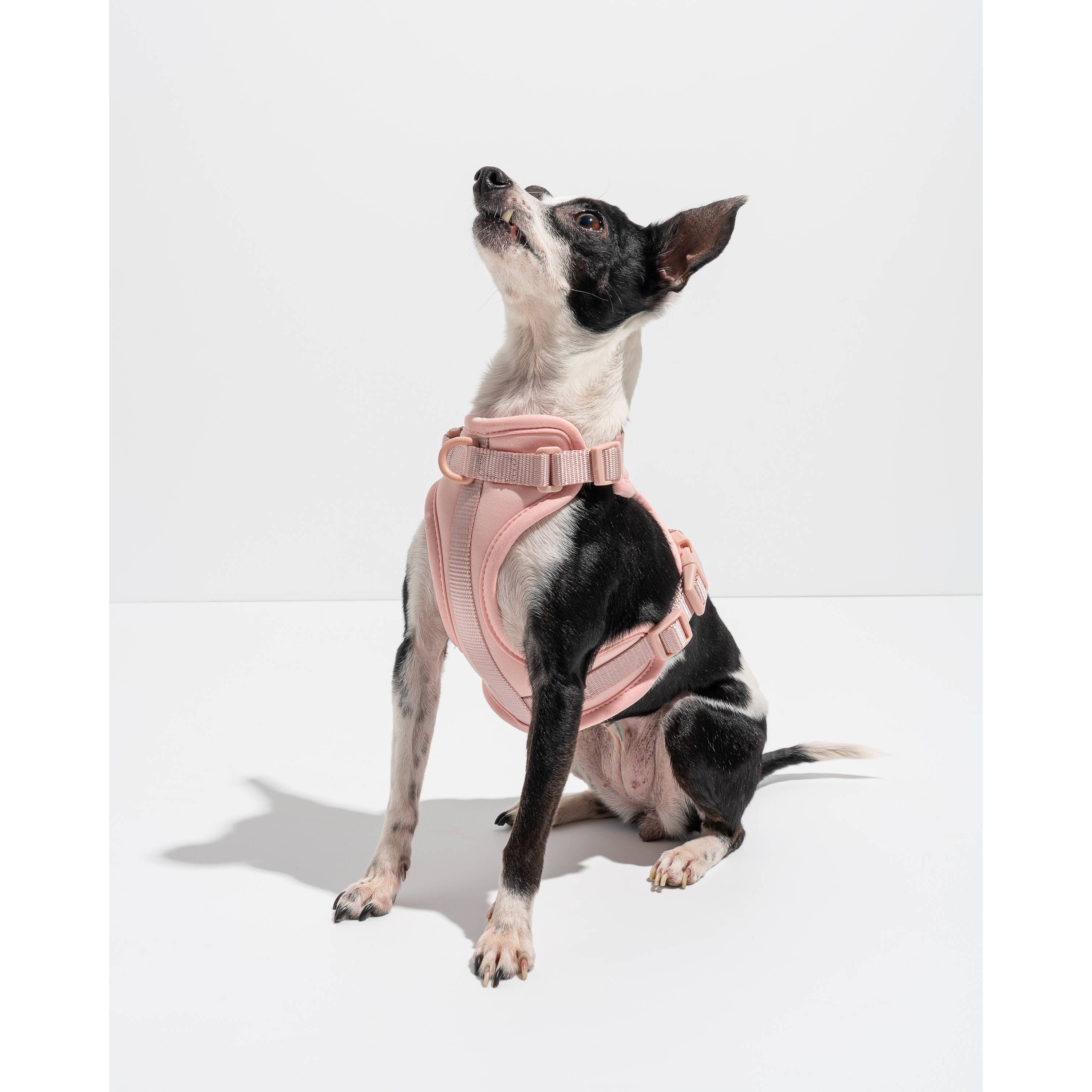 Wild One Adjustable Comfort Dog Harness
